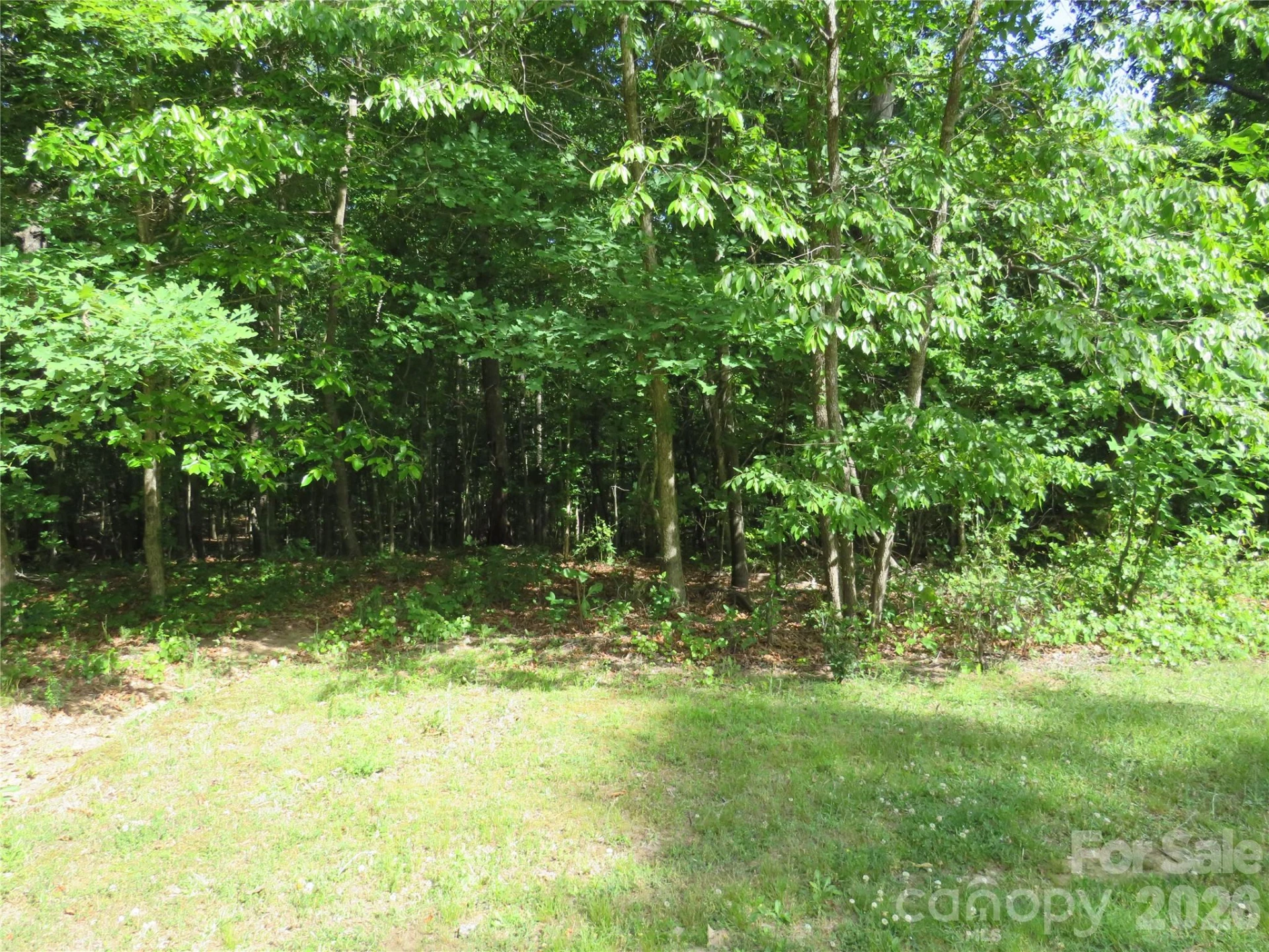 0 S Woodleaf Road - Photo 3