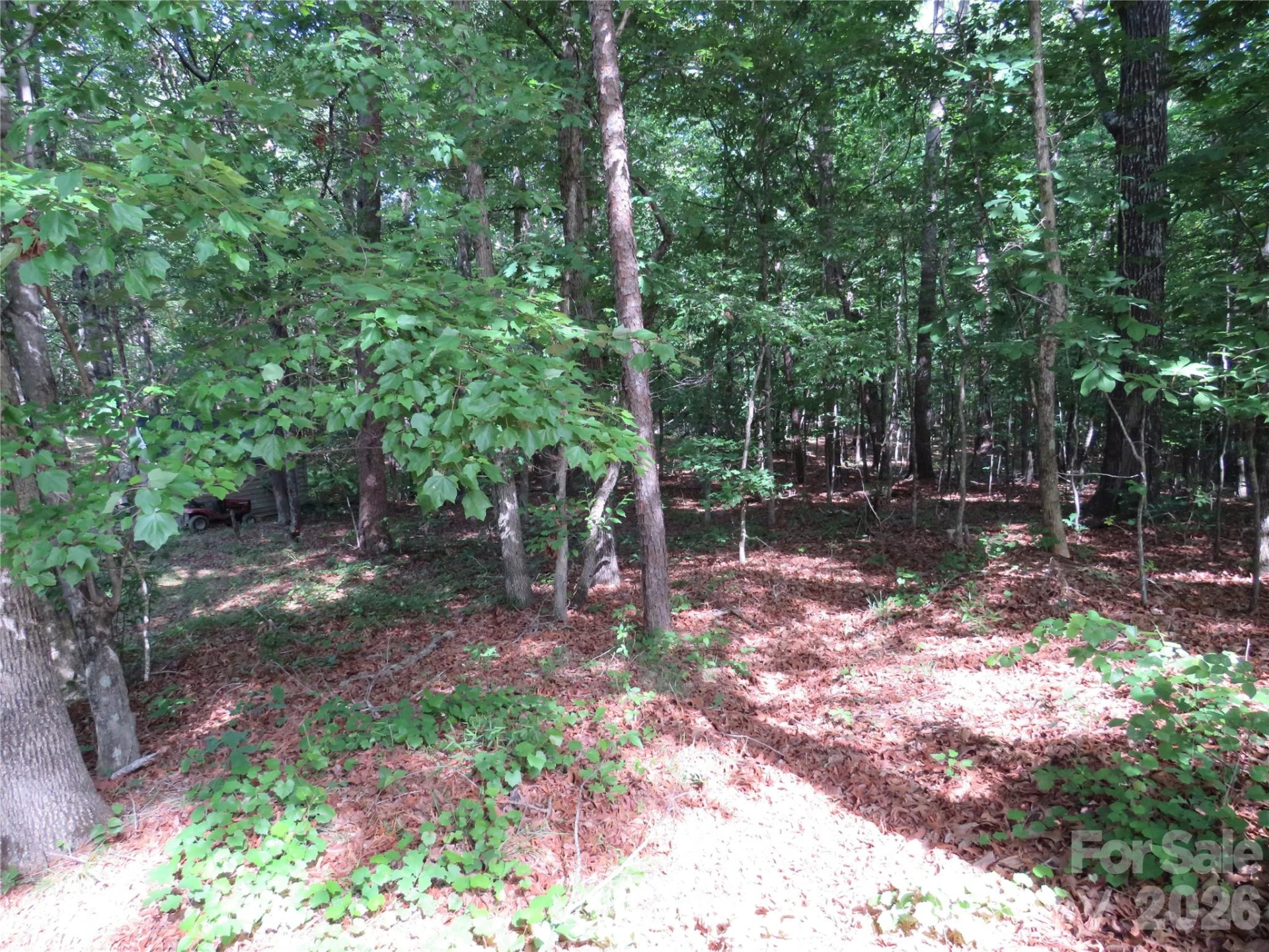 0 S Woodleaf Road - Photo 21