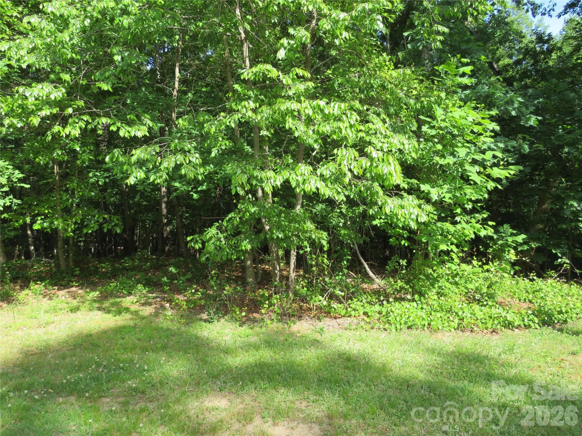 0 S Woodleaf Road - Photo 4