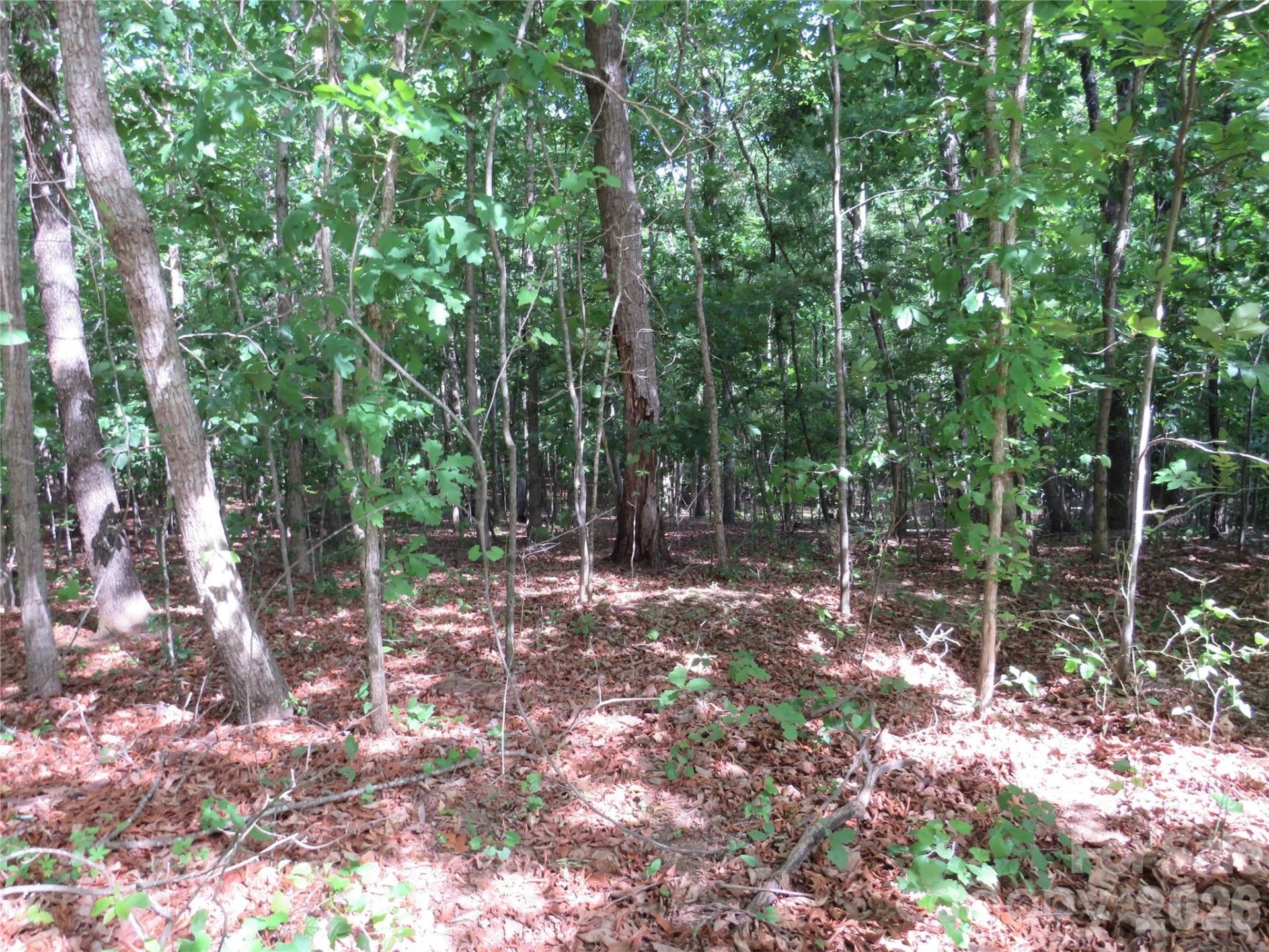 0 S Woodleaf Road - Photo 6