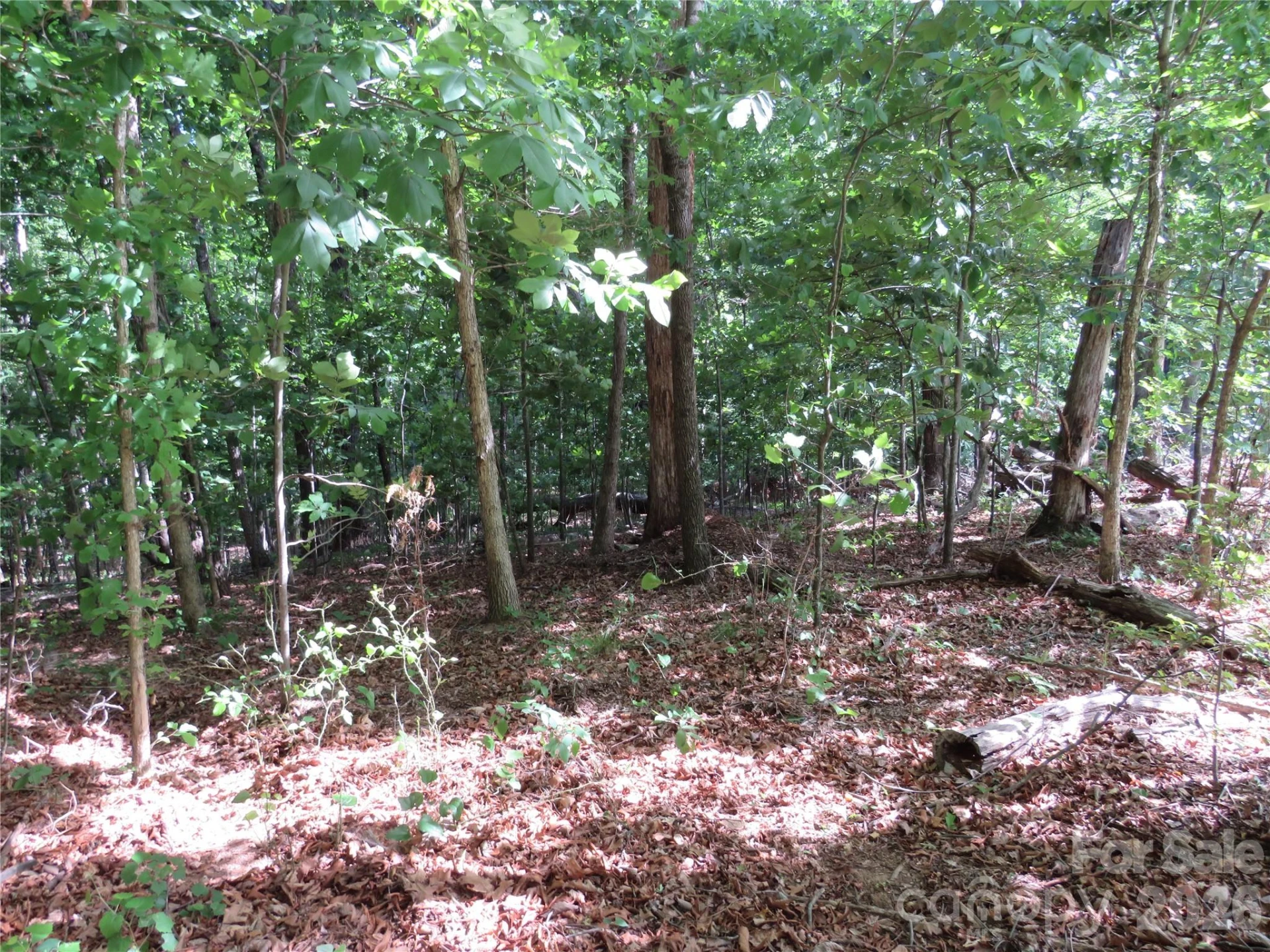 0 S Woodleaf Road - Photo 7