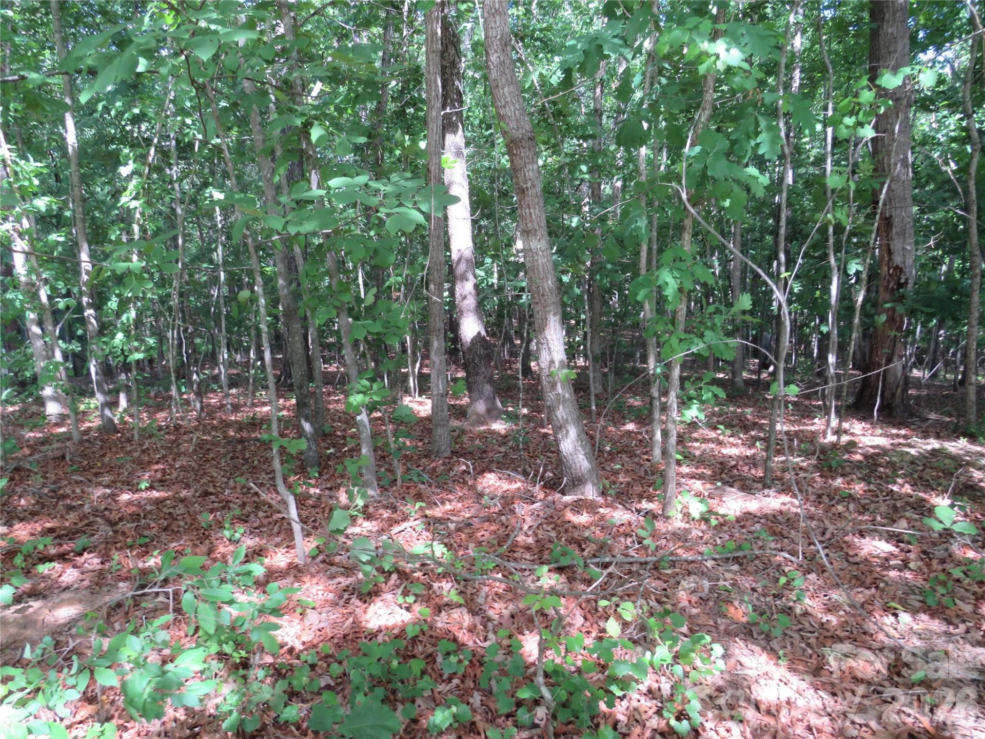 0 S Woodleaf Road - Photo 8