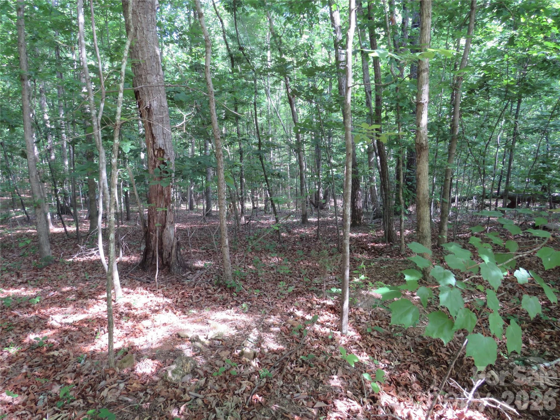 0 S Woodleaf Road - Photo 10