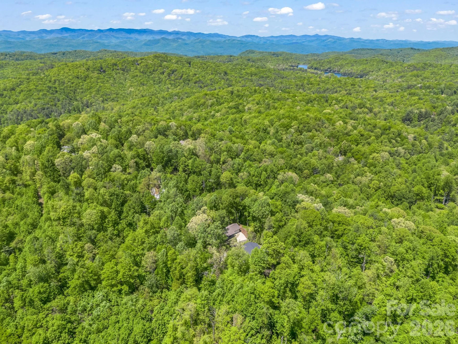 135 Half Moon Lane - Photo 42