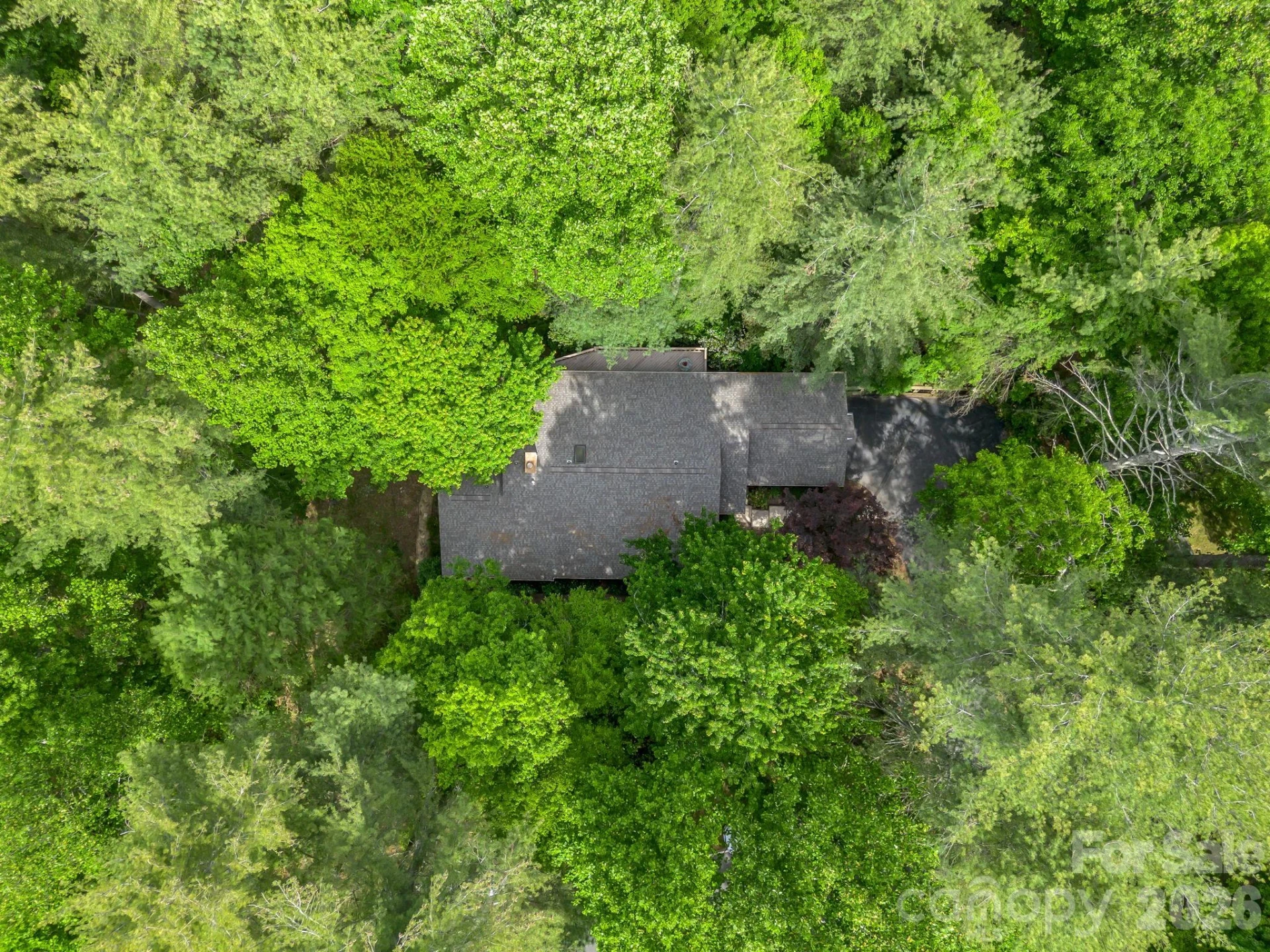 118 Timber Creek Road - Photo 40