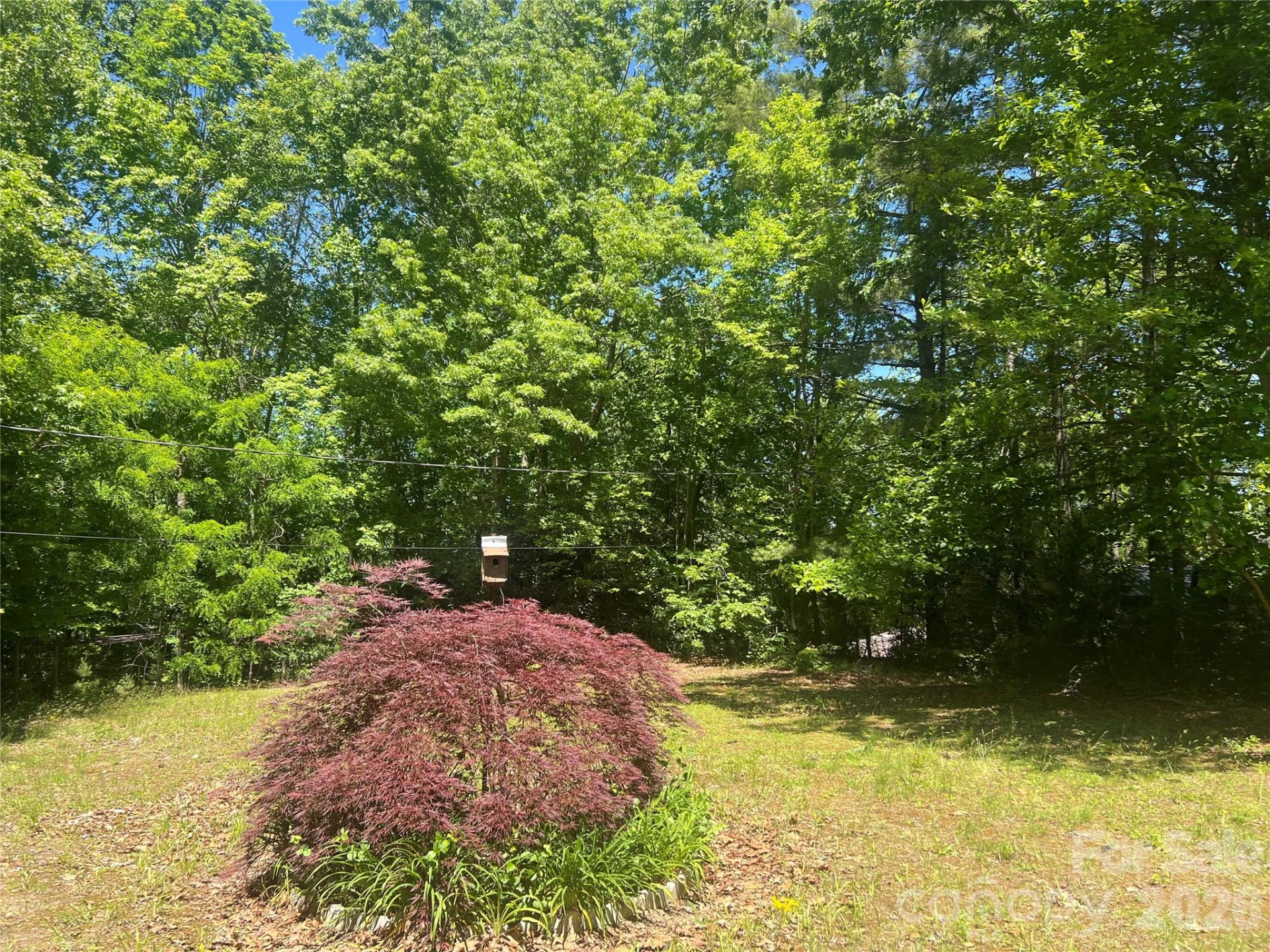 0 Mountain Laurel Lane - Photo 2