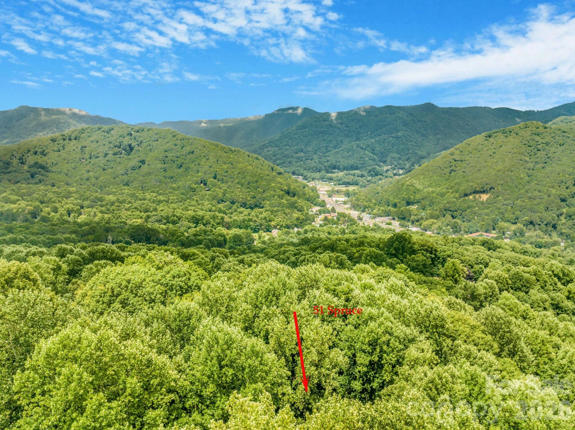 51 Spruce Street - Photo 44