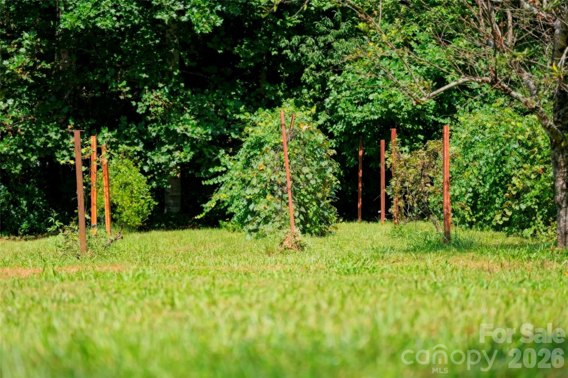 25 Triton Way - Photo 44