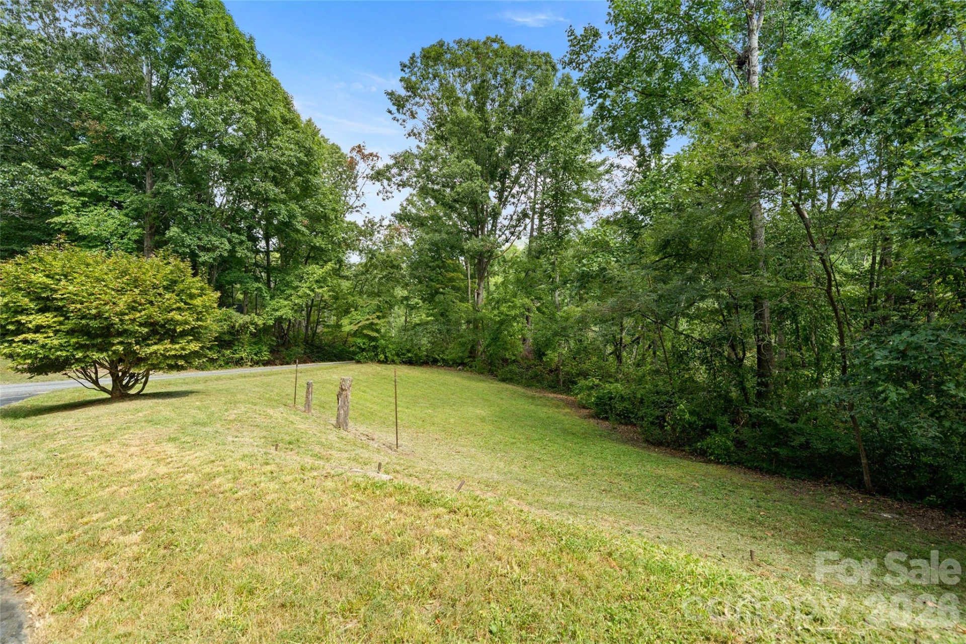 150 Mountain Laurel Lane - Photo 2