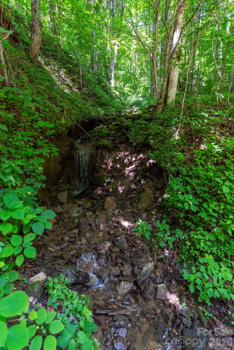 78 Spellbound Road - Photo 39