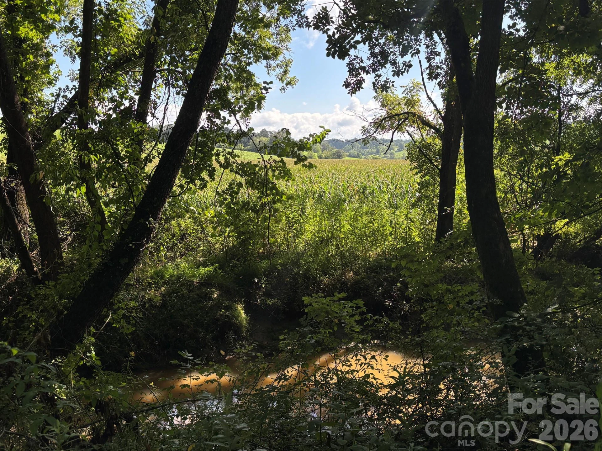 136 Peaceful Valley Drive - Photo 28