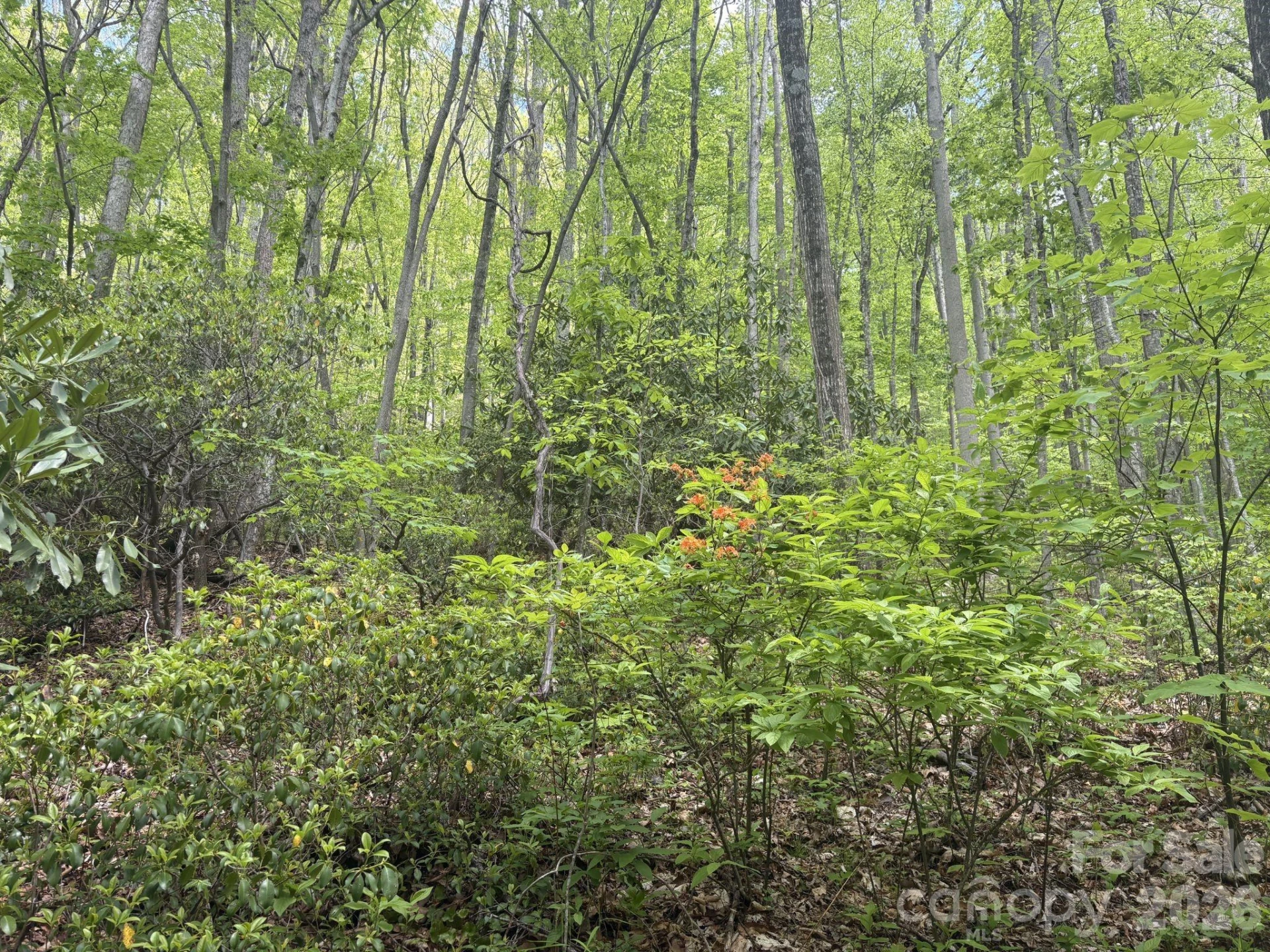 999999 Harwood Road #2 - Photo 19