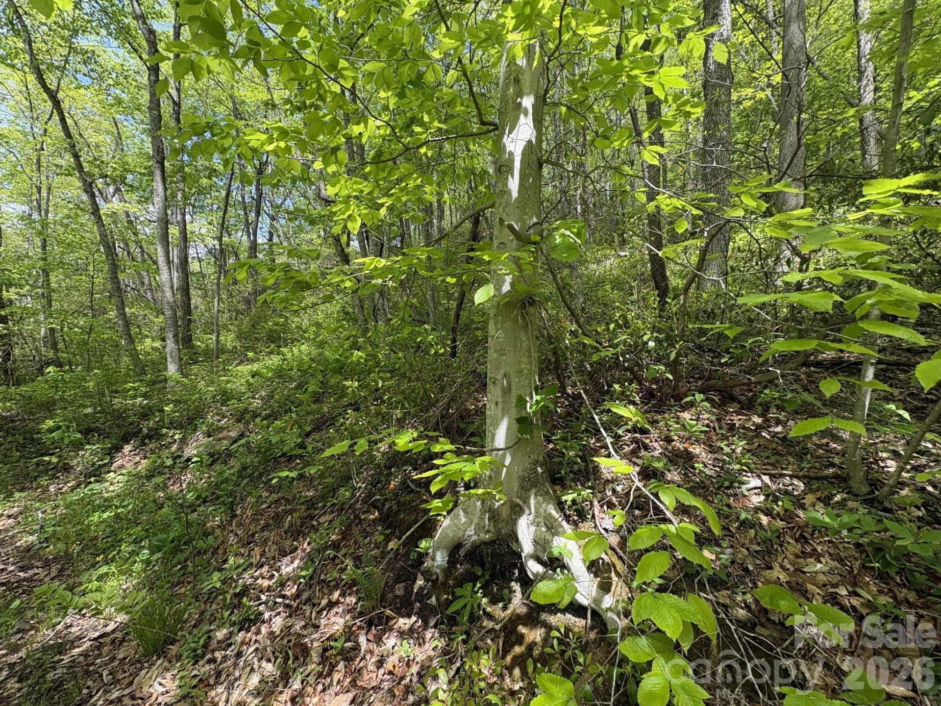 999999 Harwood Road #2 - Photo 20