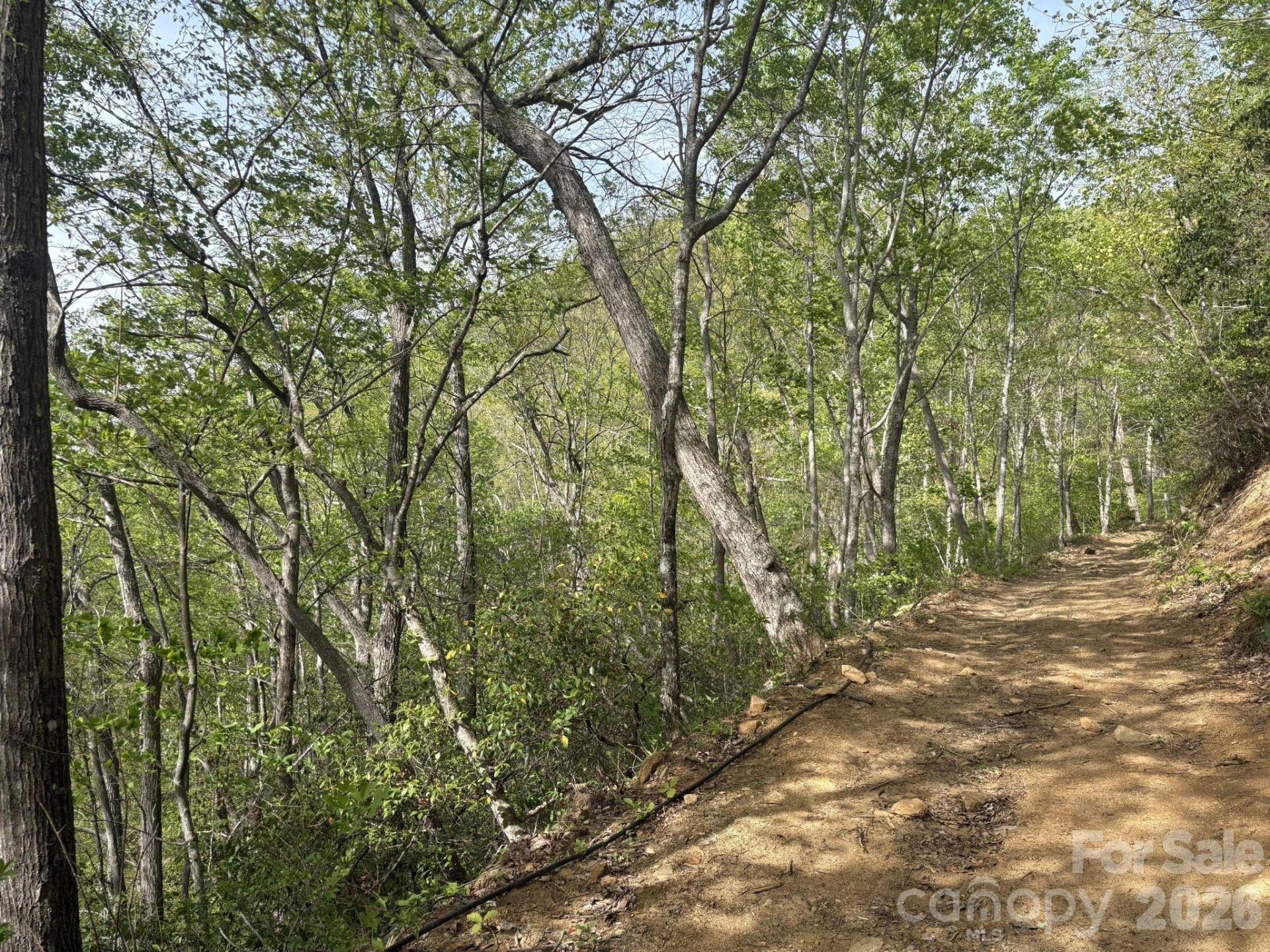 999999 Harwood Road #2 - Photo 5