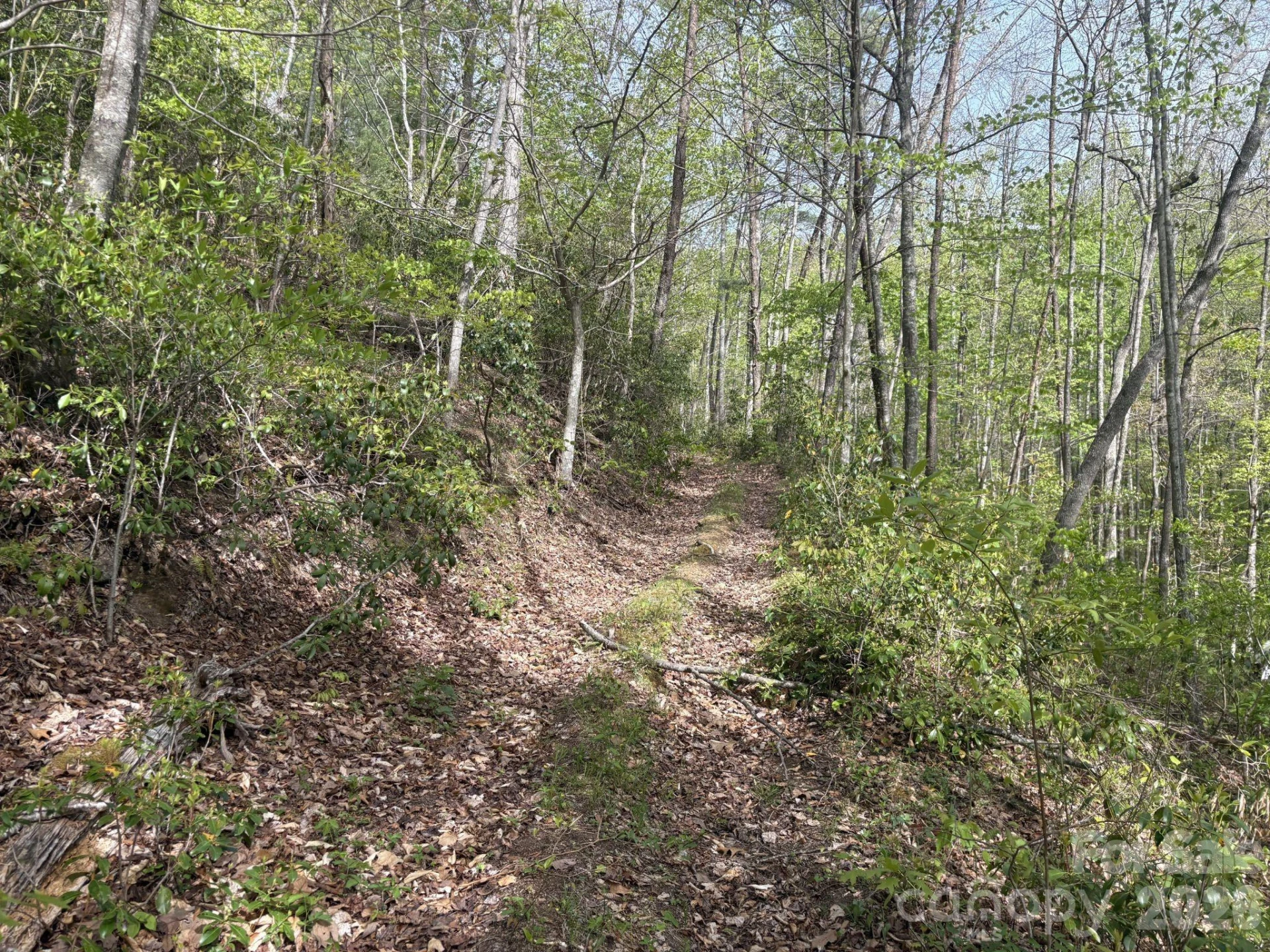 999999 Harwood Road #2 - Photo 9