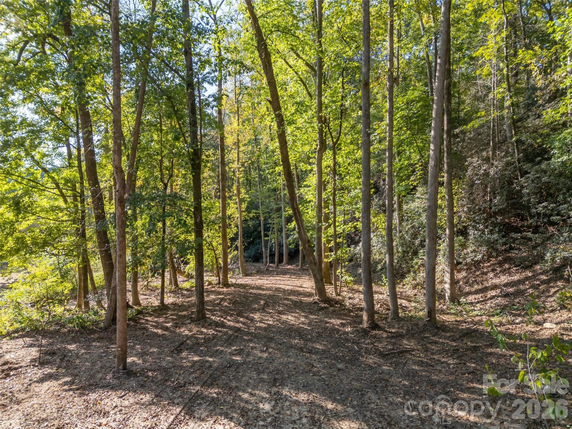 0 Firefly Cove #9 - Photo 5