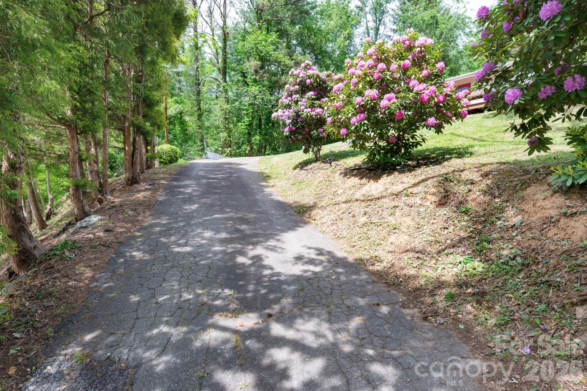 34 Wolfe Cove Road - Photo 32