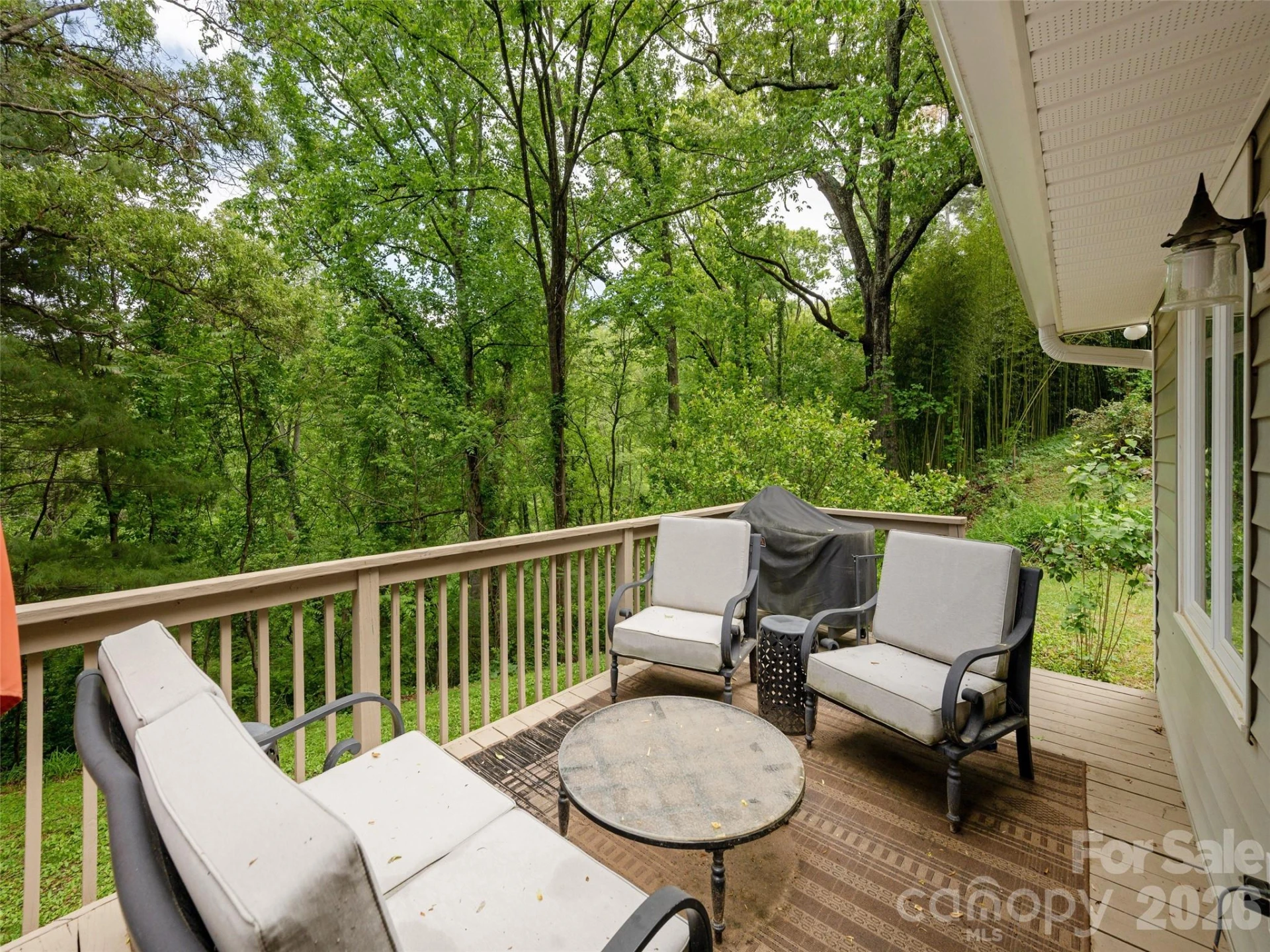 411 Patton Mountain Road - Photo 23