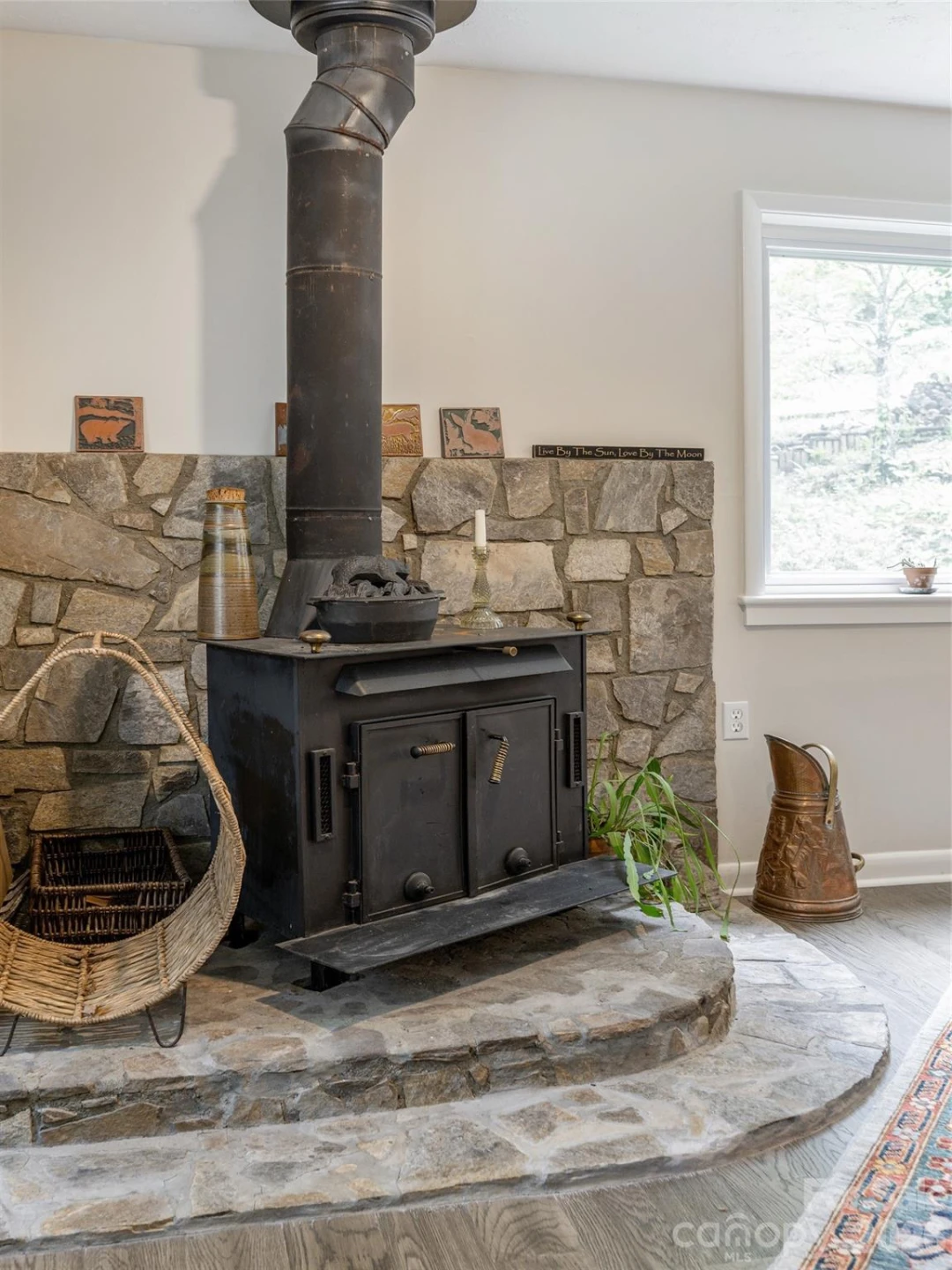 411 Patton Mountain Road - Photo 4