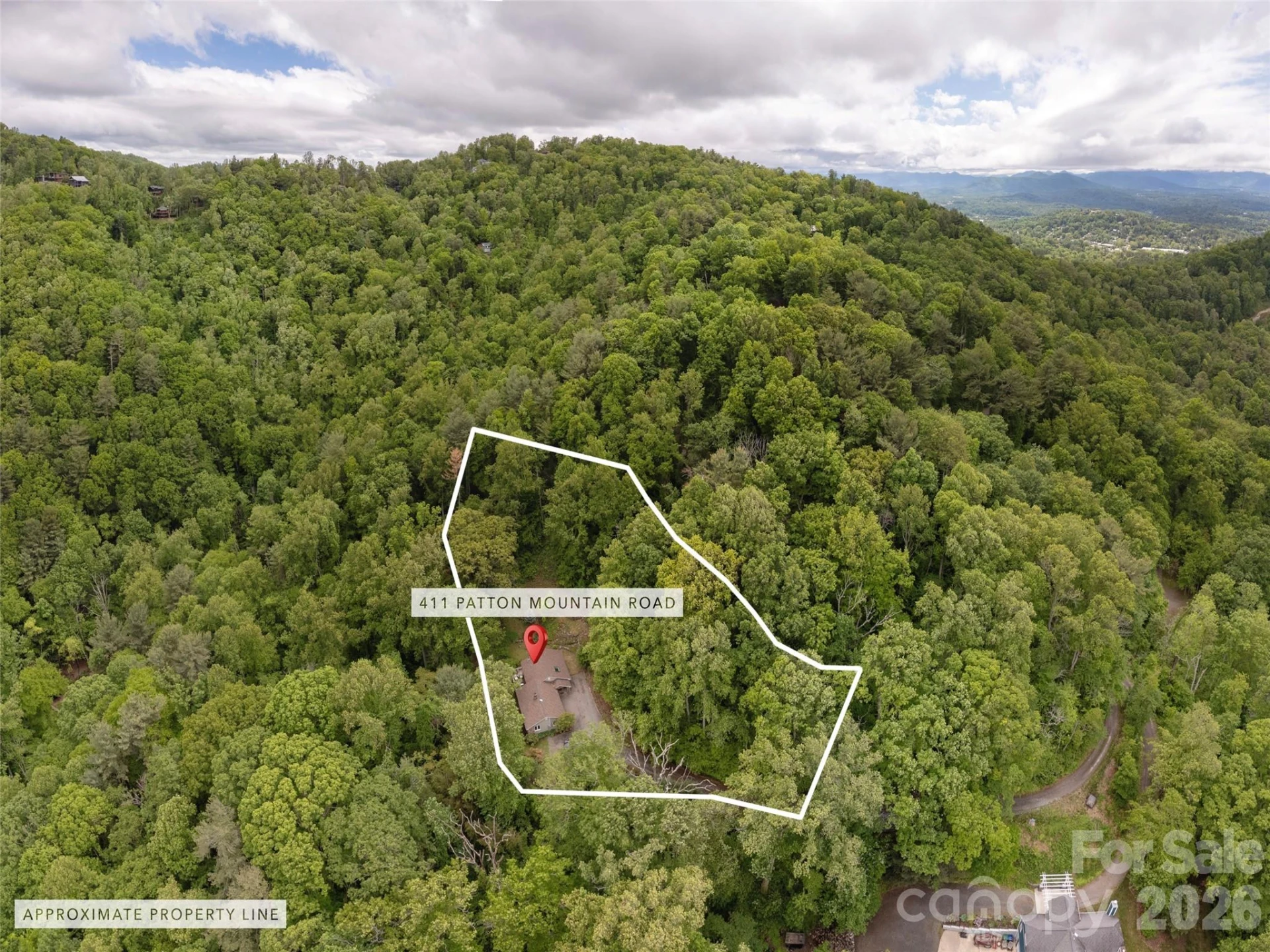 411 Patton Mountain Road - Photo 33