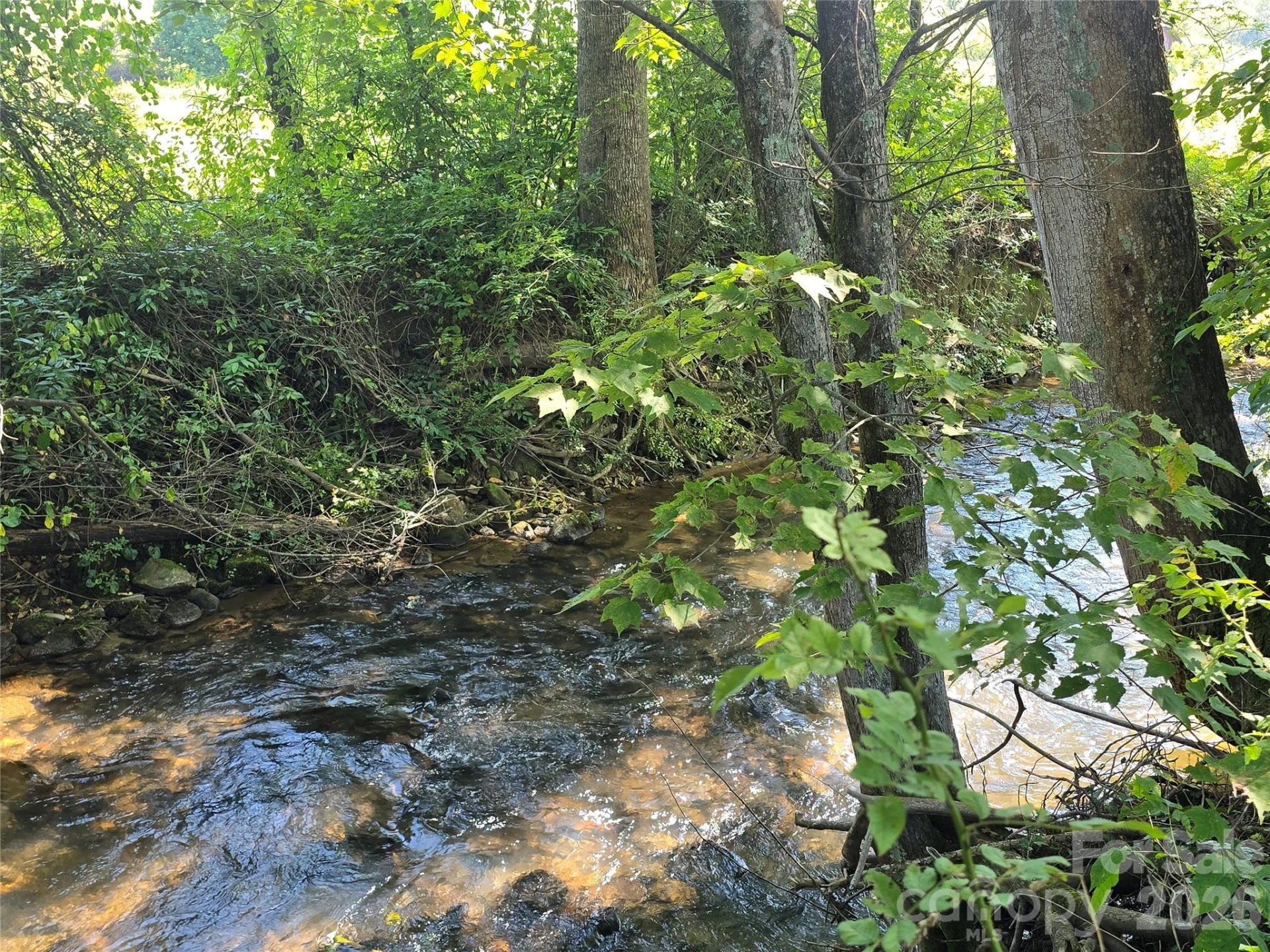 221 Turkey Pen Gap Road - Photo 21