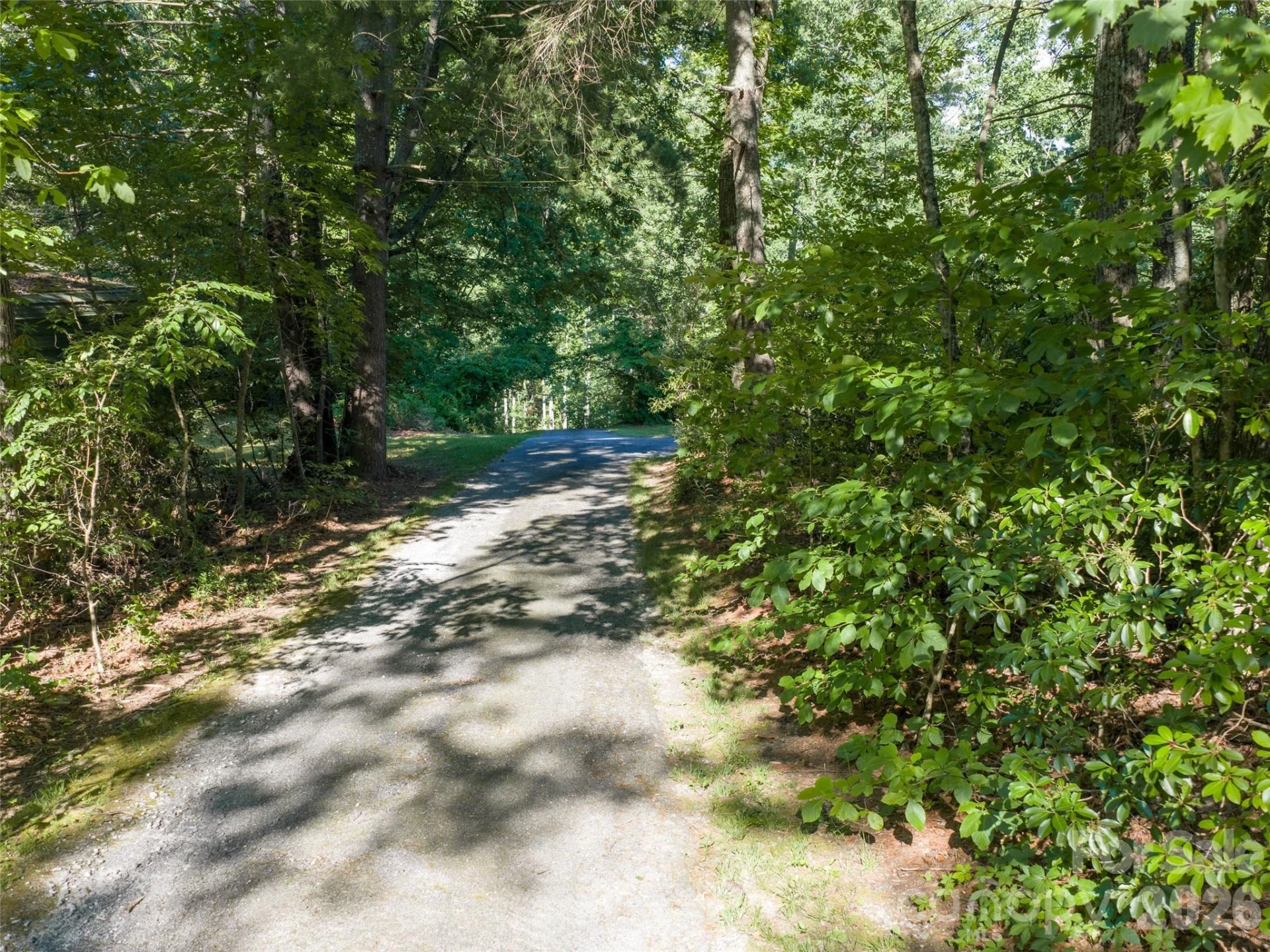 000 Mountain Laurel Lane - Photo 2