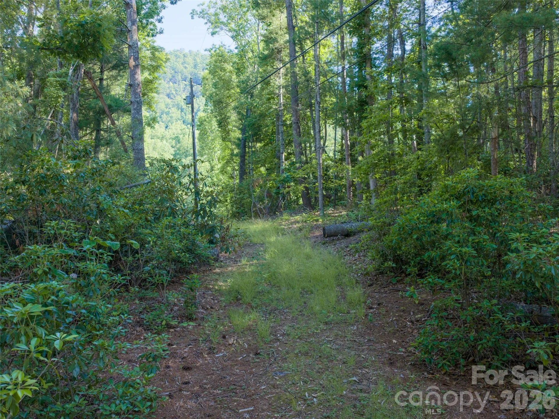 000 Mountain Laurel Lane - Photo 4