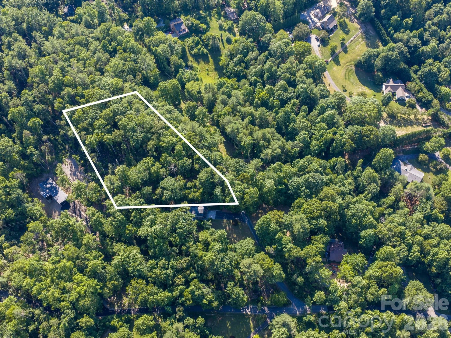 000 Mountain Laurel Lane - Photo 5