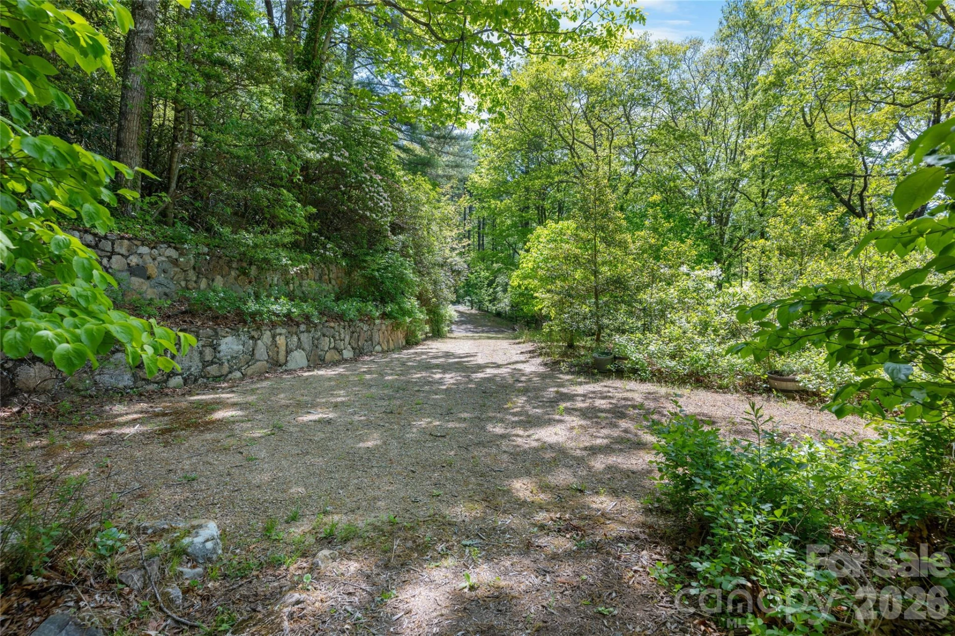 1923 Cold Mountain Road - Photo 3