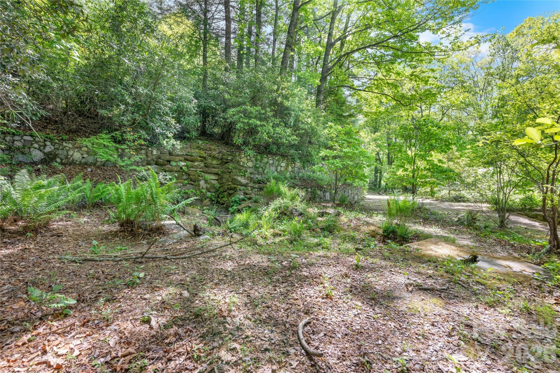 1923 Cold Mountain Road - Photo 5