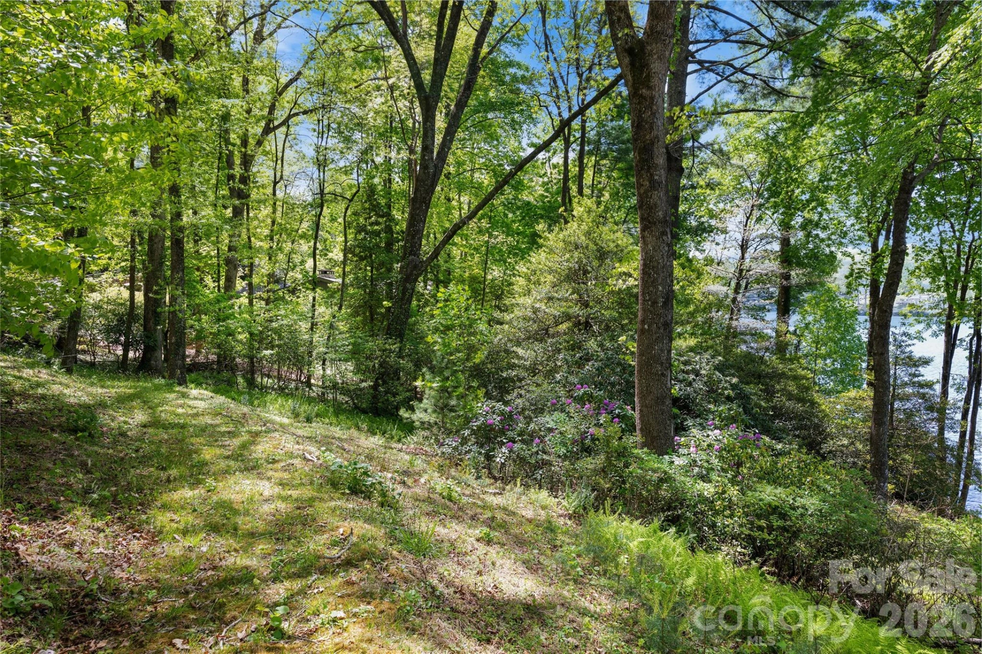 1923 Cold Mountain Road - Photo 6