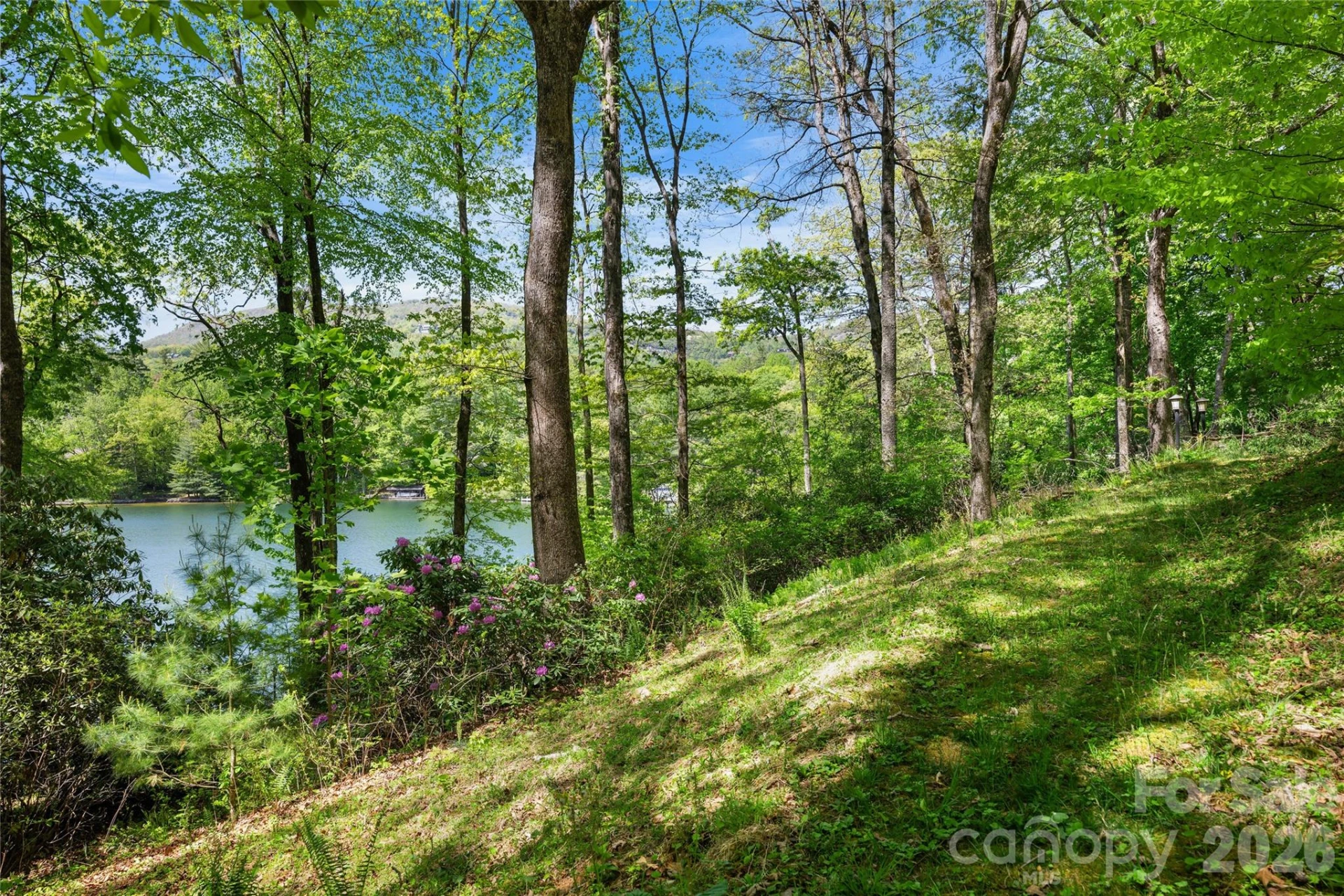 1923 Cold Mountain Road - Photo 7
