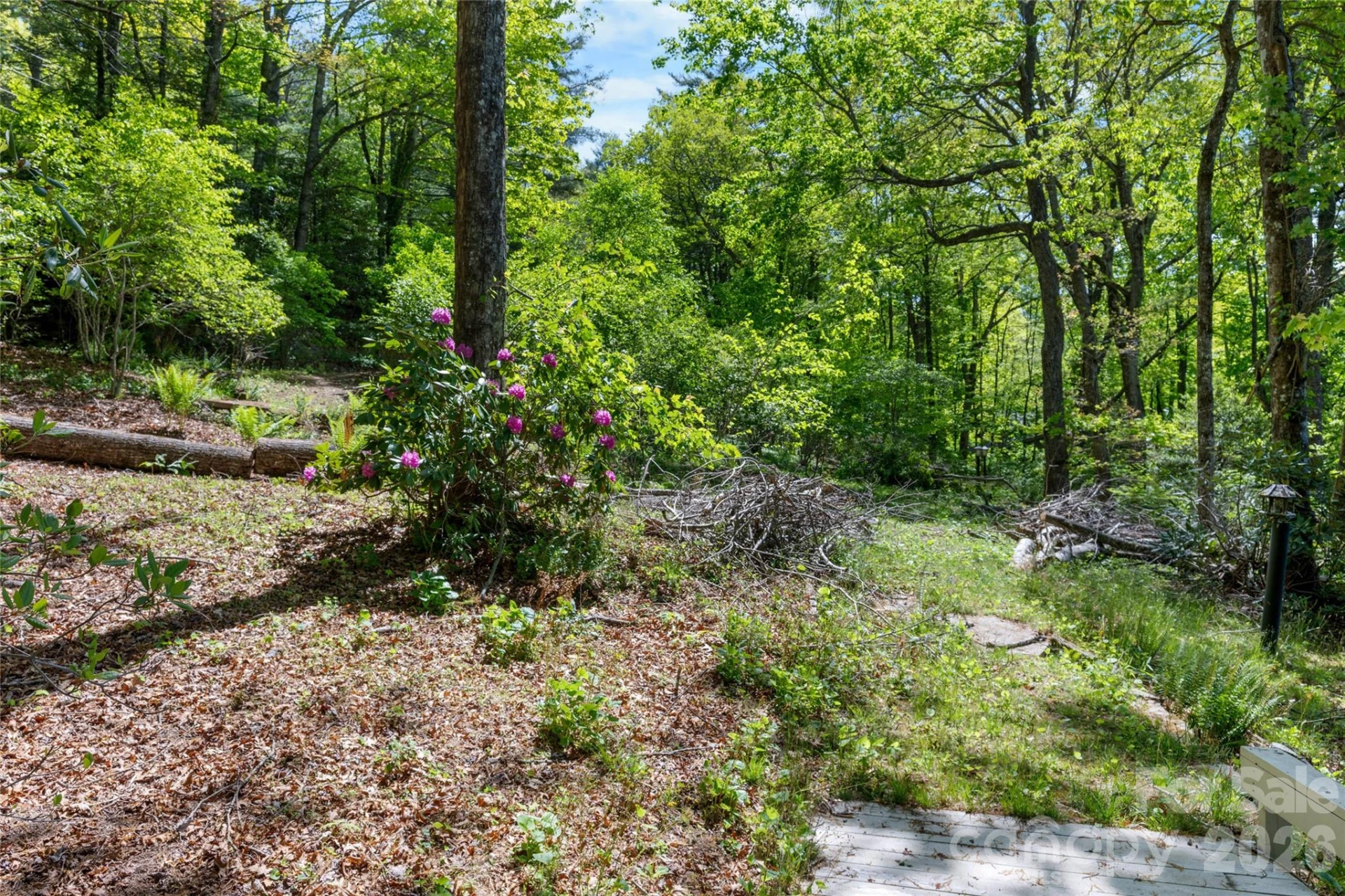 1923 Cold Mountain Road - Photo 8