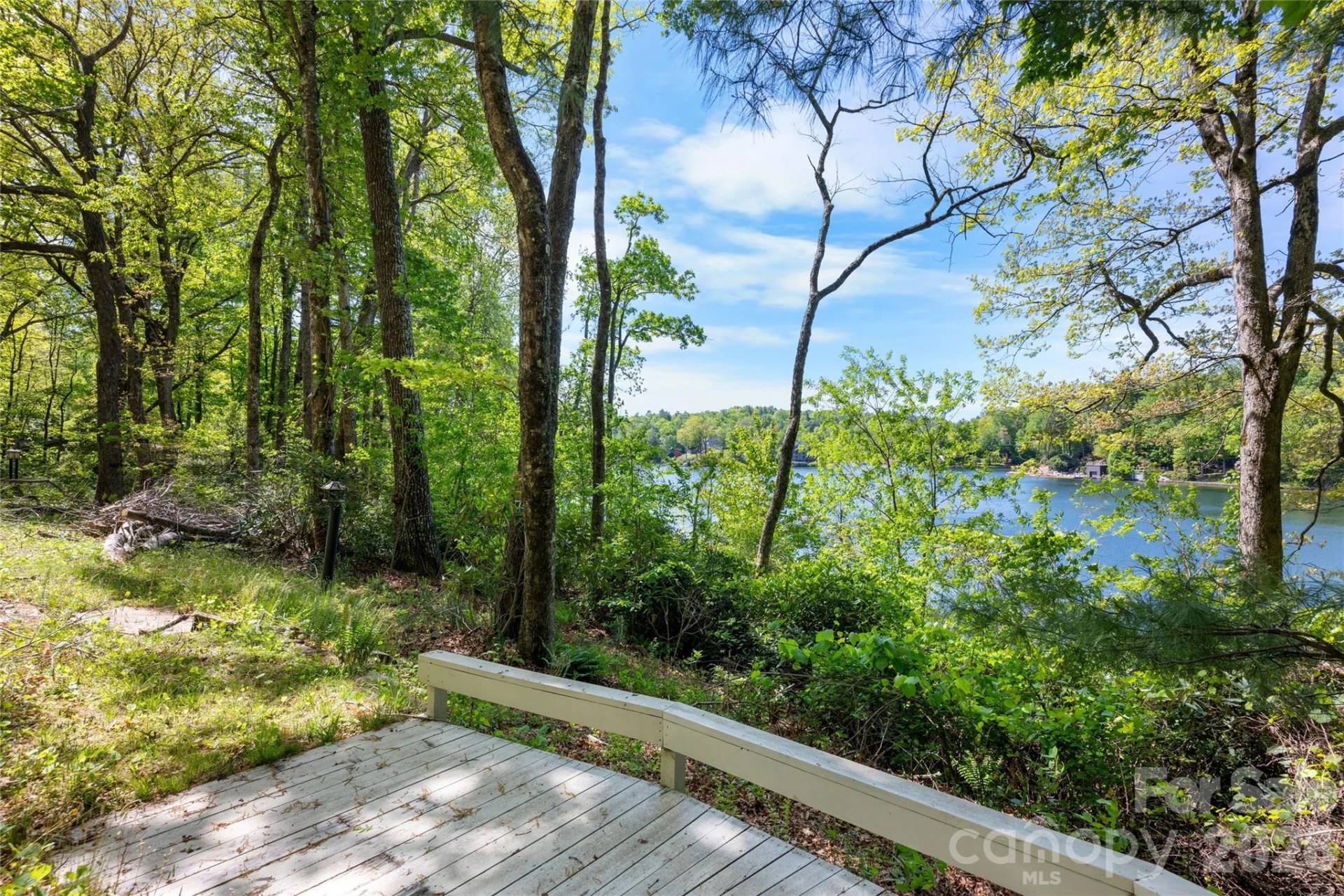 1923 Cold Mountain Road - Photo 9
