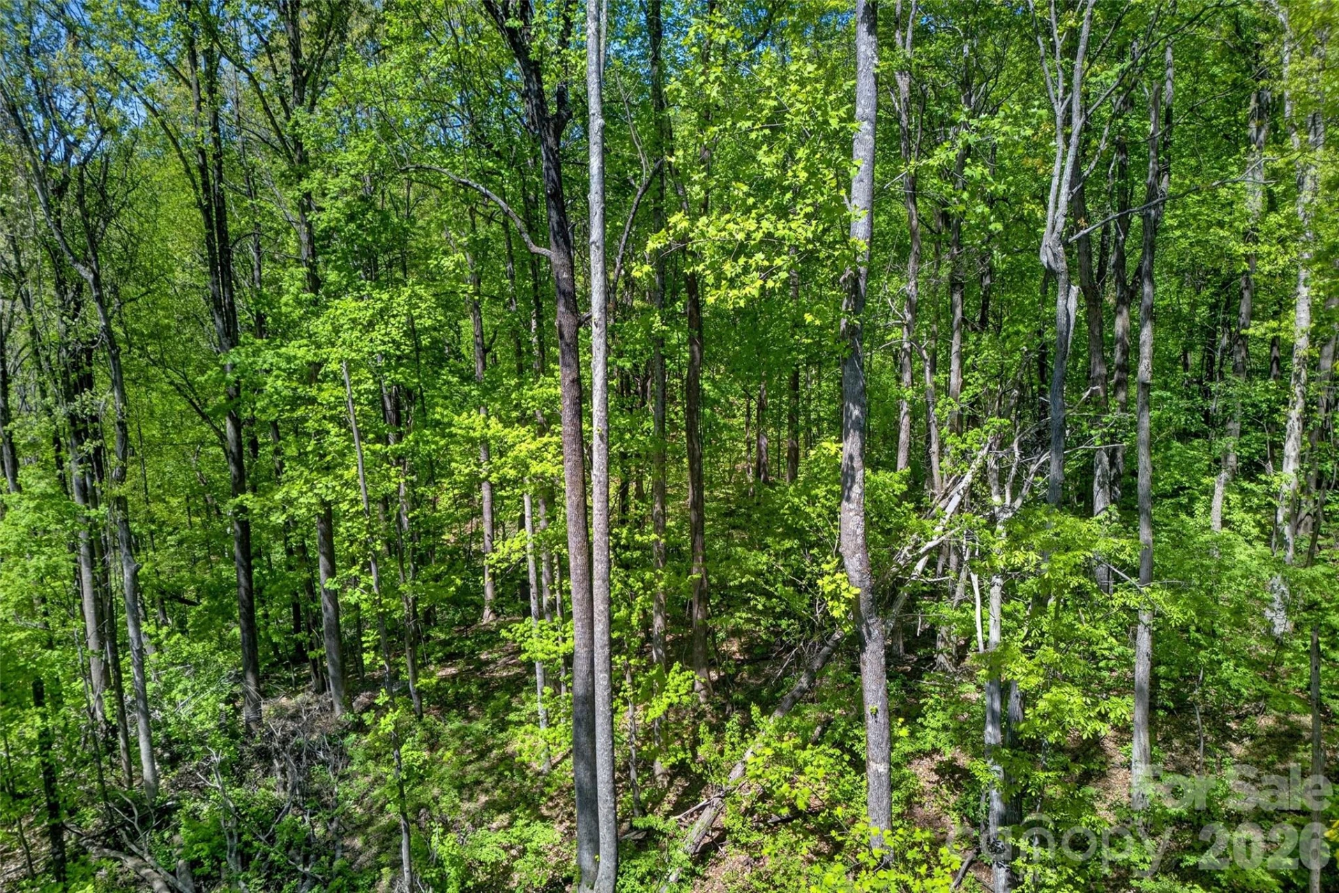 7 Gateway Parkway - Photo 16