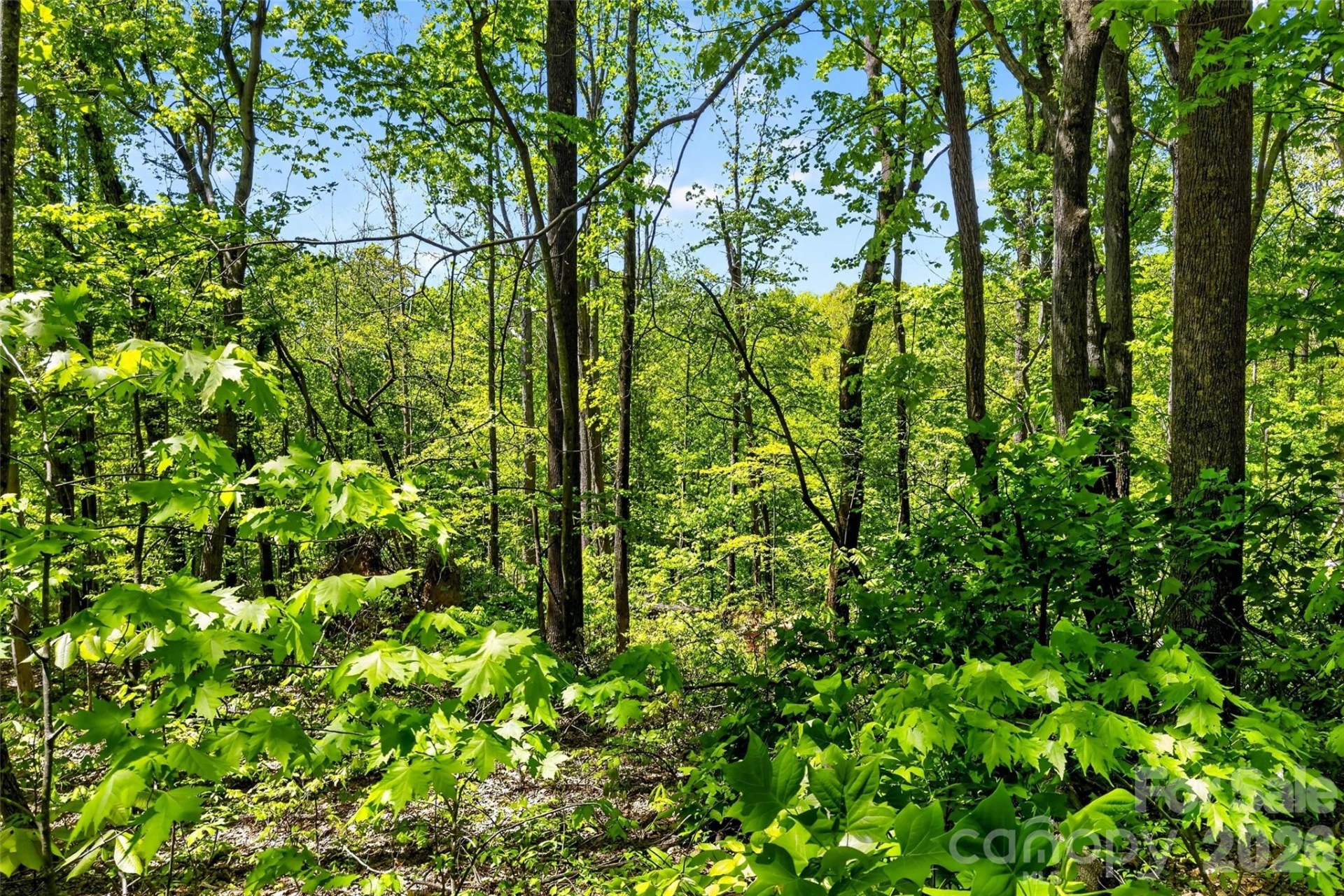 7 Gateway Parkway - Photo 18