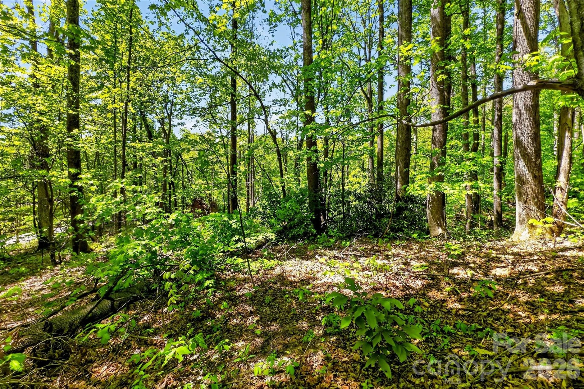 7 Gateway Parkway - Photo 20