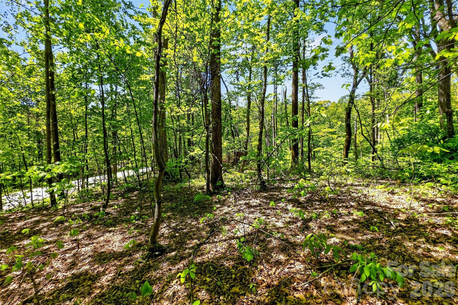 7 Gateway Parkway - Photo 3