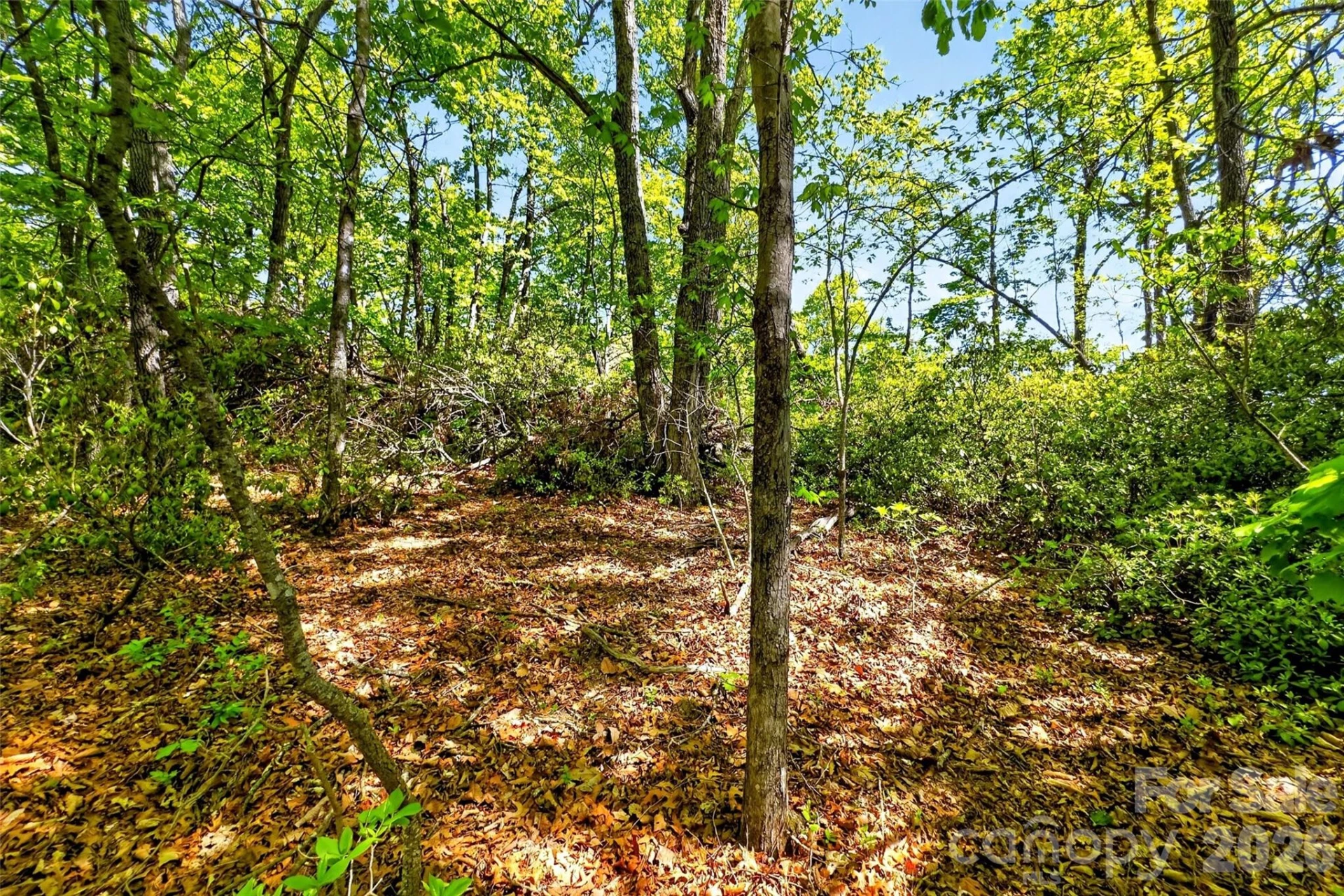 131-133 McKenzie Way N - Photo 8