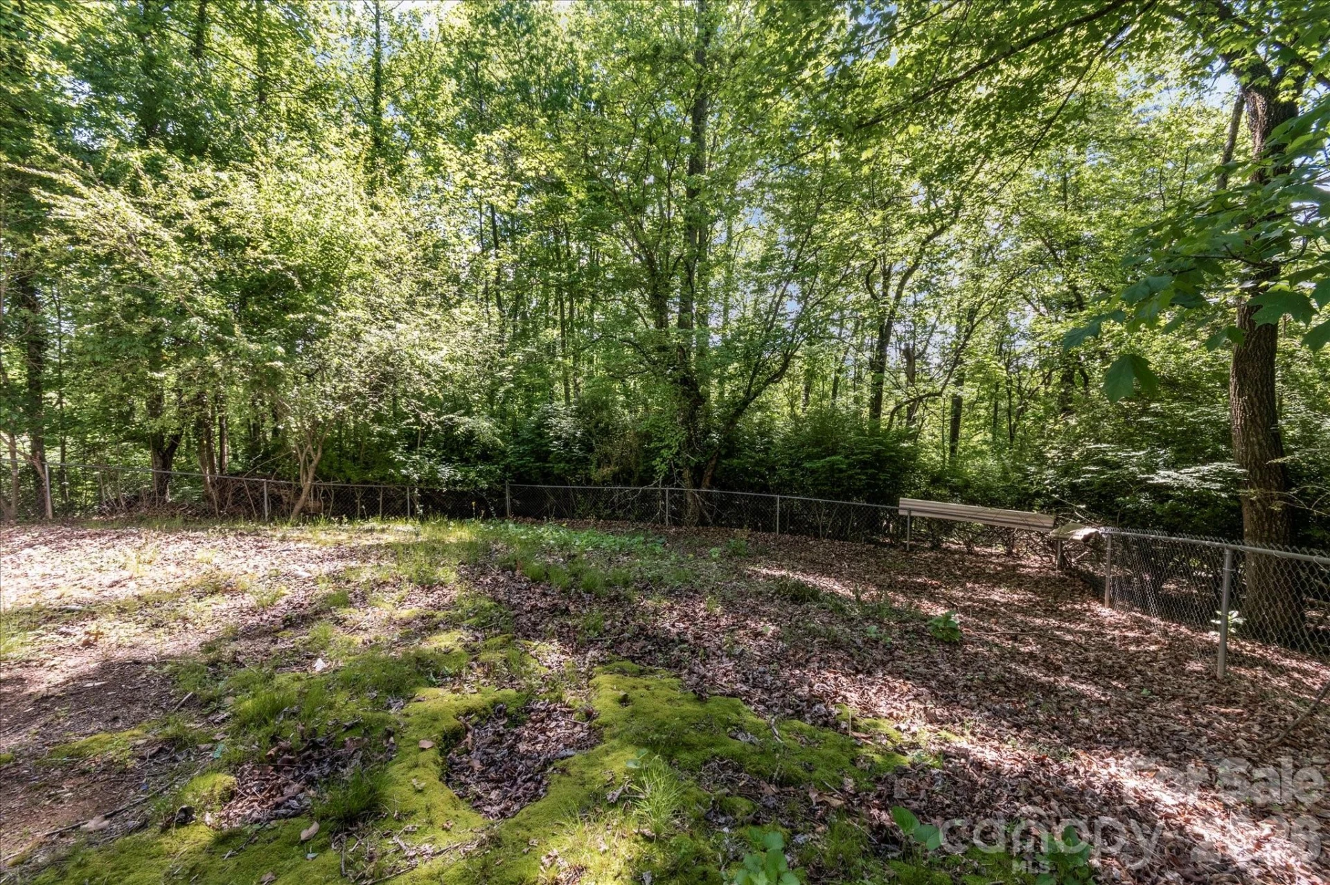 147 Barberry Heights Drive - Photo 25