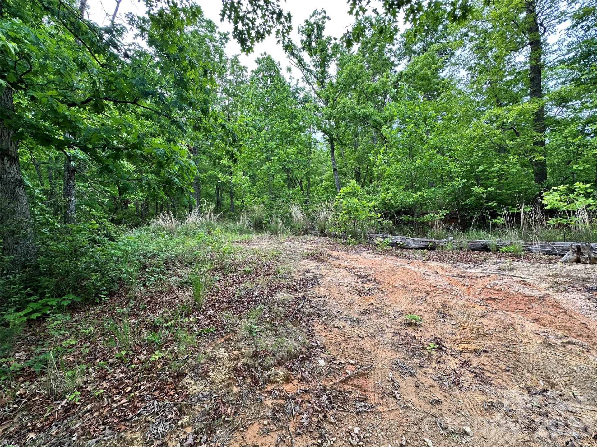99999 Bird Creek Estates Road - Photo 2