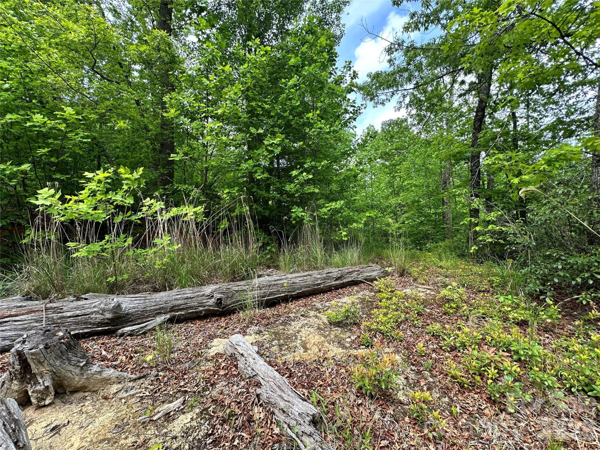99999 Bird Creek Estates Road - Photo 11