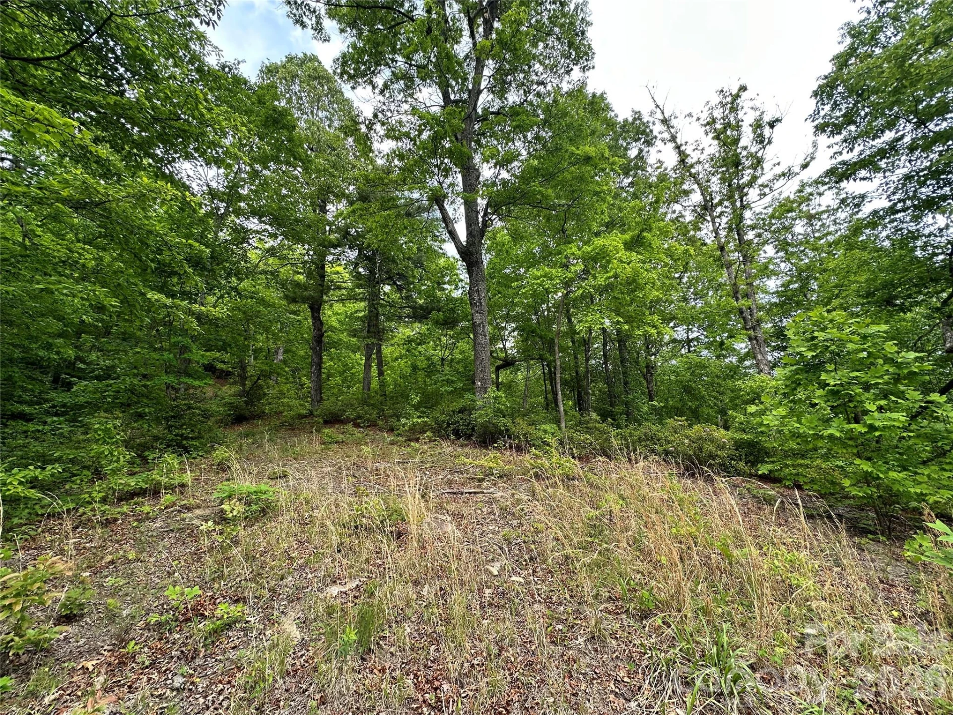 99999 Bird Creek Estates Road - Photo 12