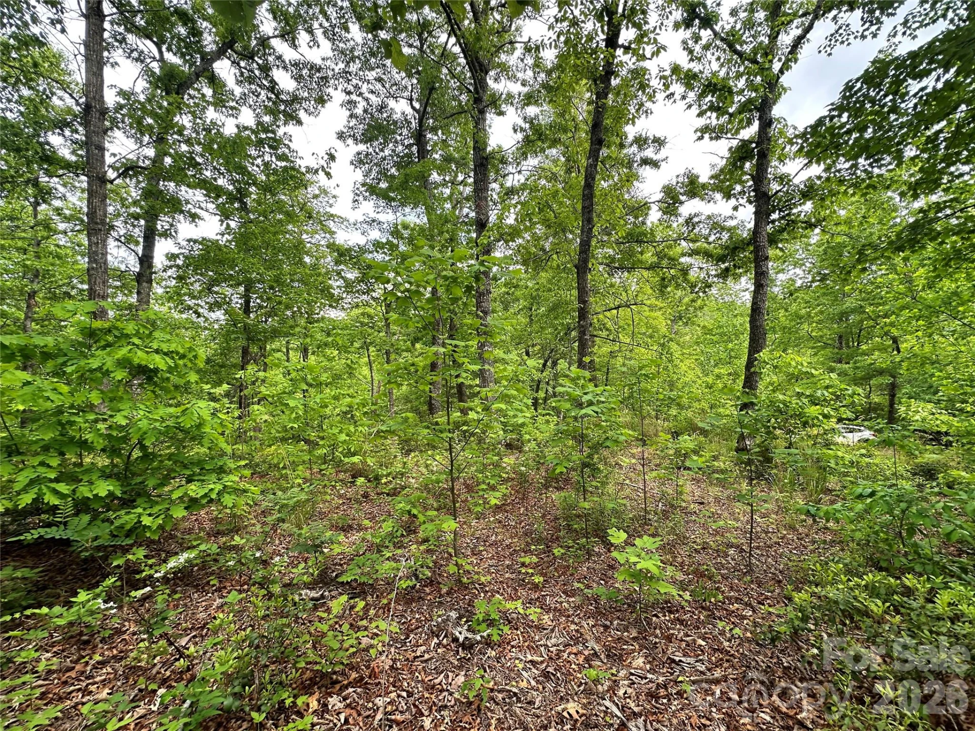 99999 Bird Creek Estates Road - Photo 13