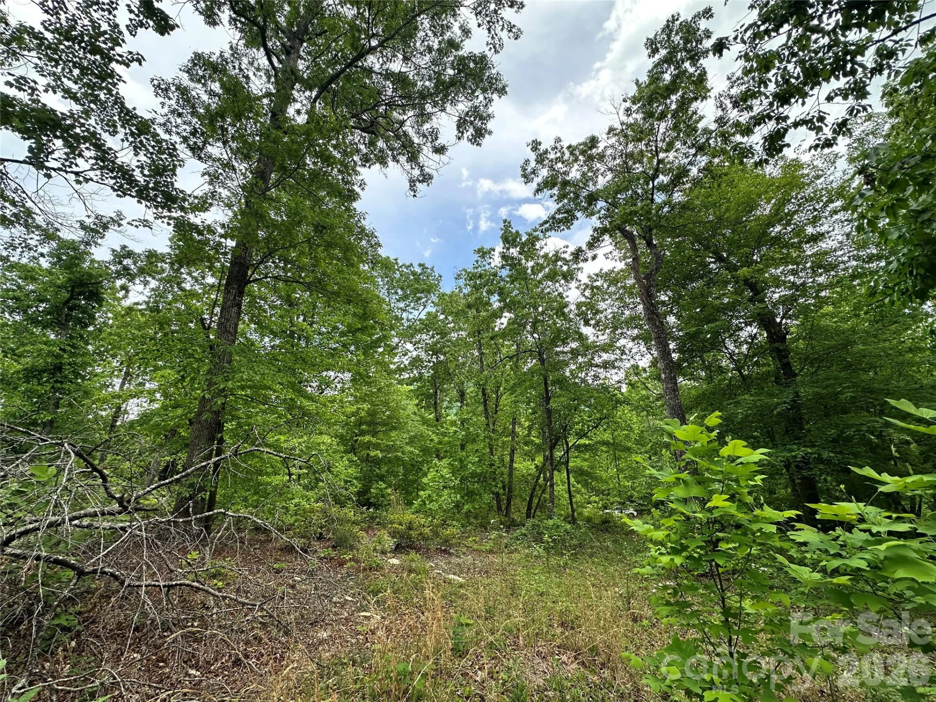 99999 Bird Creek Estates Road - Photo 14
