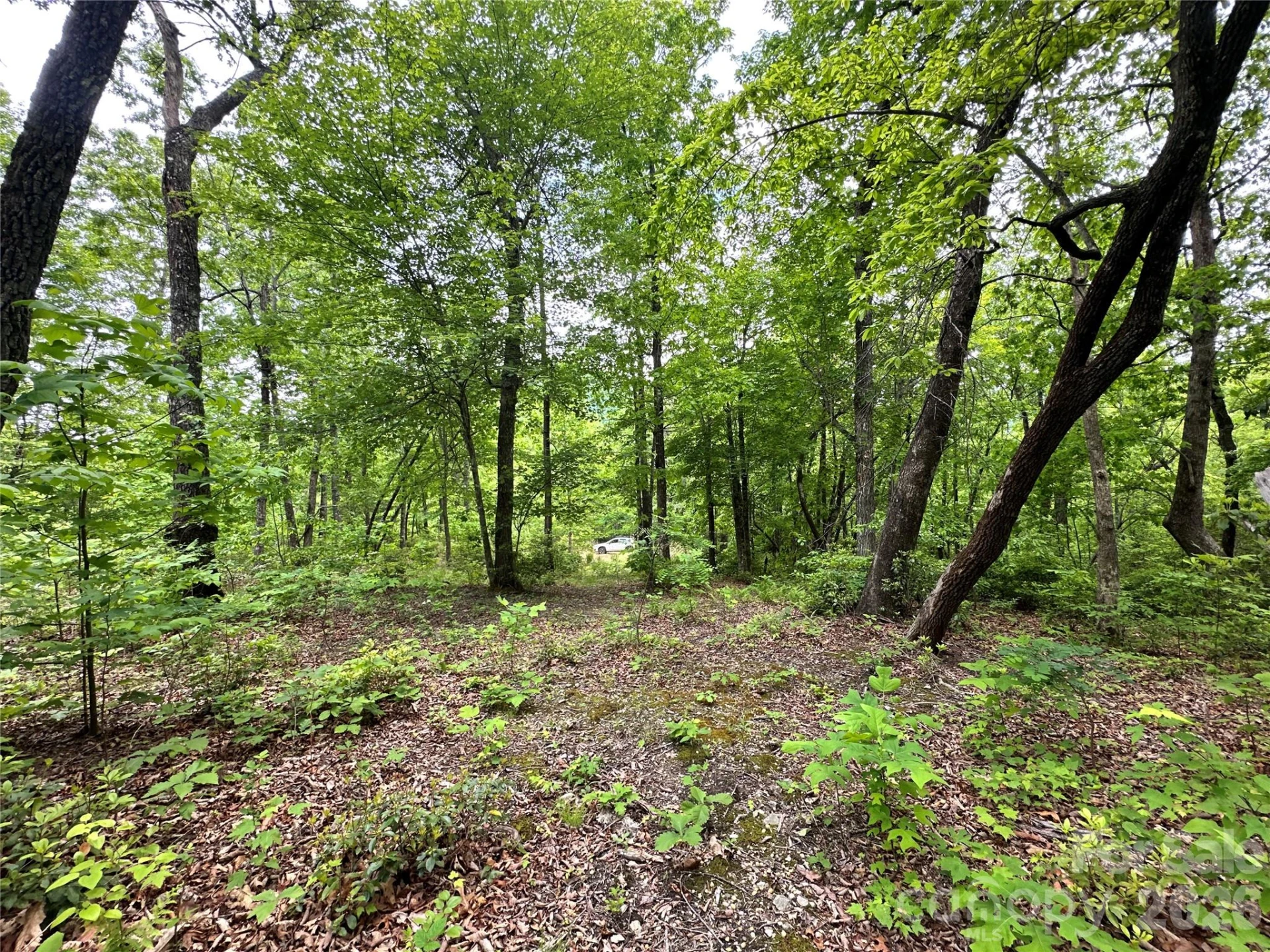 99999 Bird Creek Estates Road - Photo 15