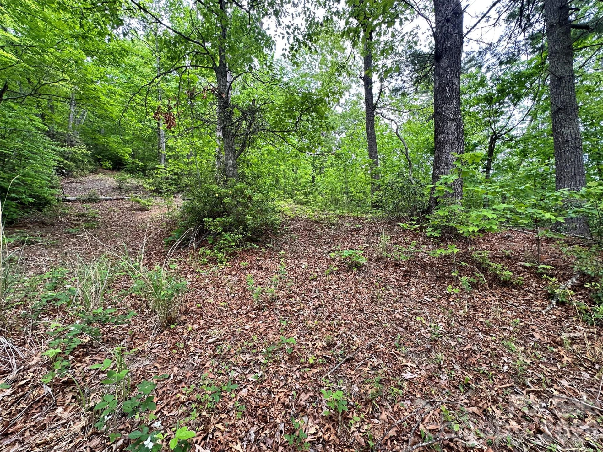 99999 Bird Creek Estates Road - Photo 16