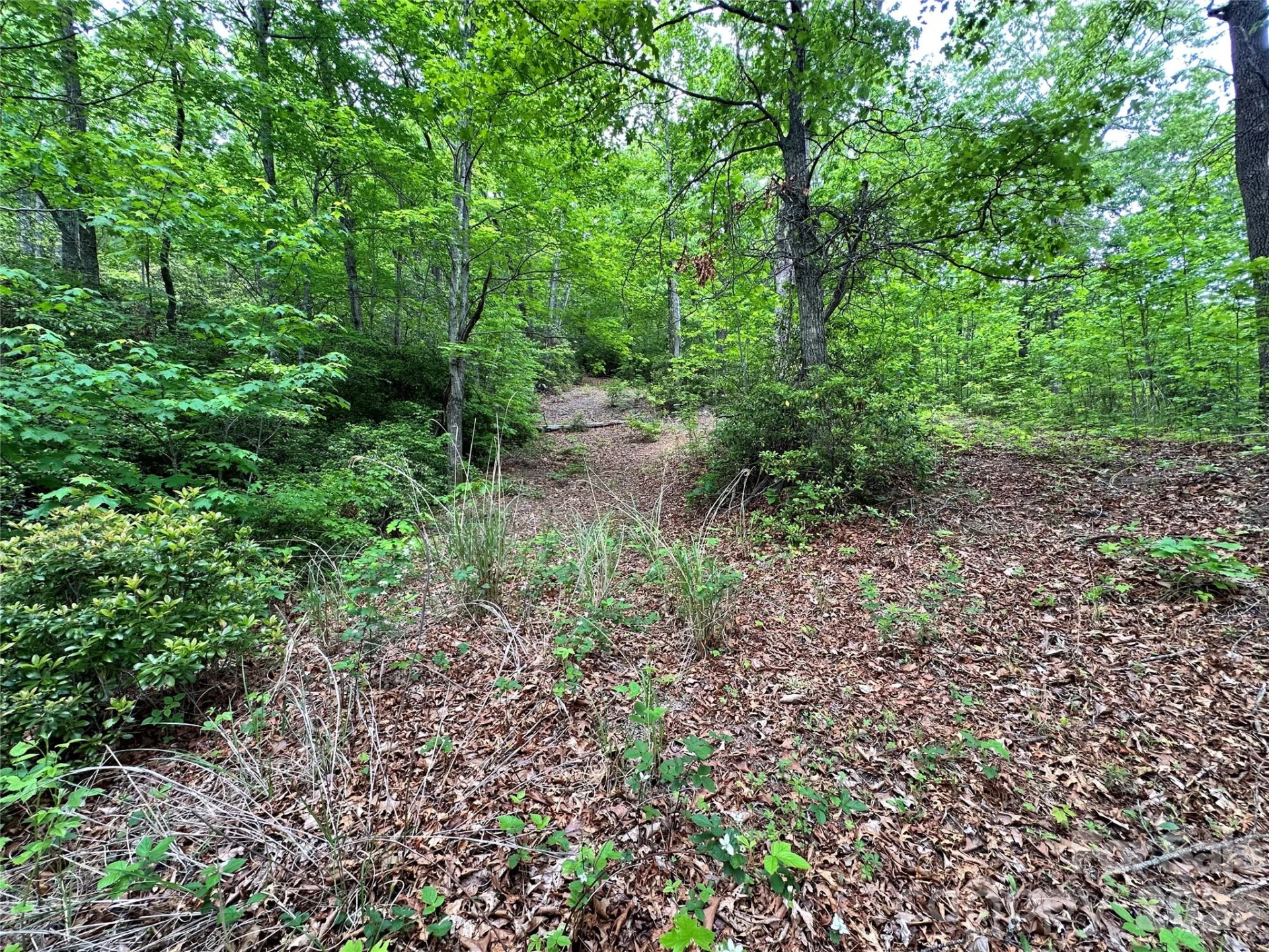 99999 Bird Creek Estates Road - Photo 17