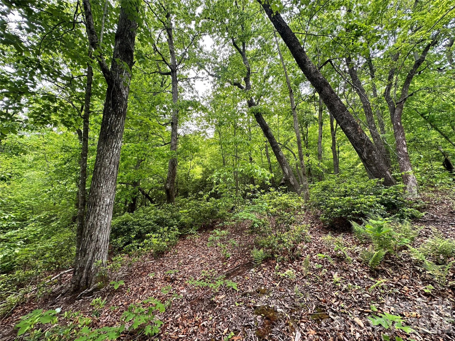 99999 Bird Creek Estates Road - Photo 18