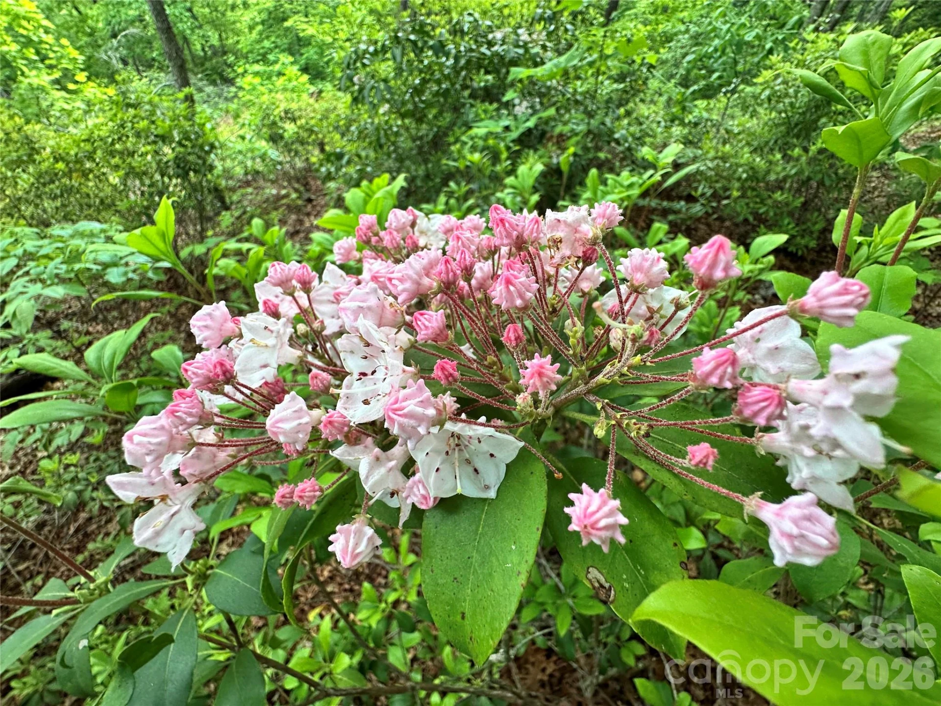 99999 Bird Creek Estates Road - Photo 20